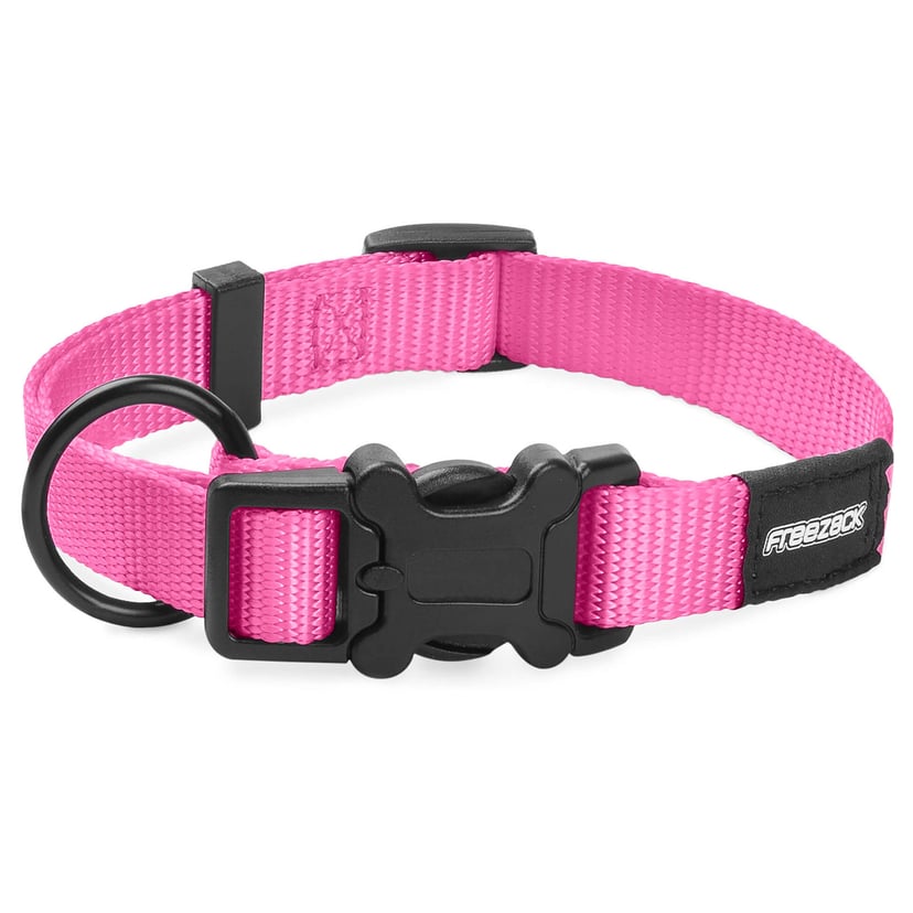 Collier pour chien BasicUni