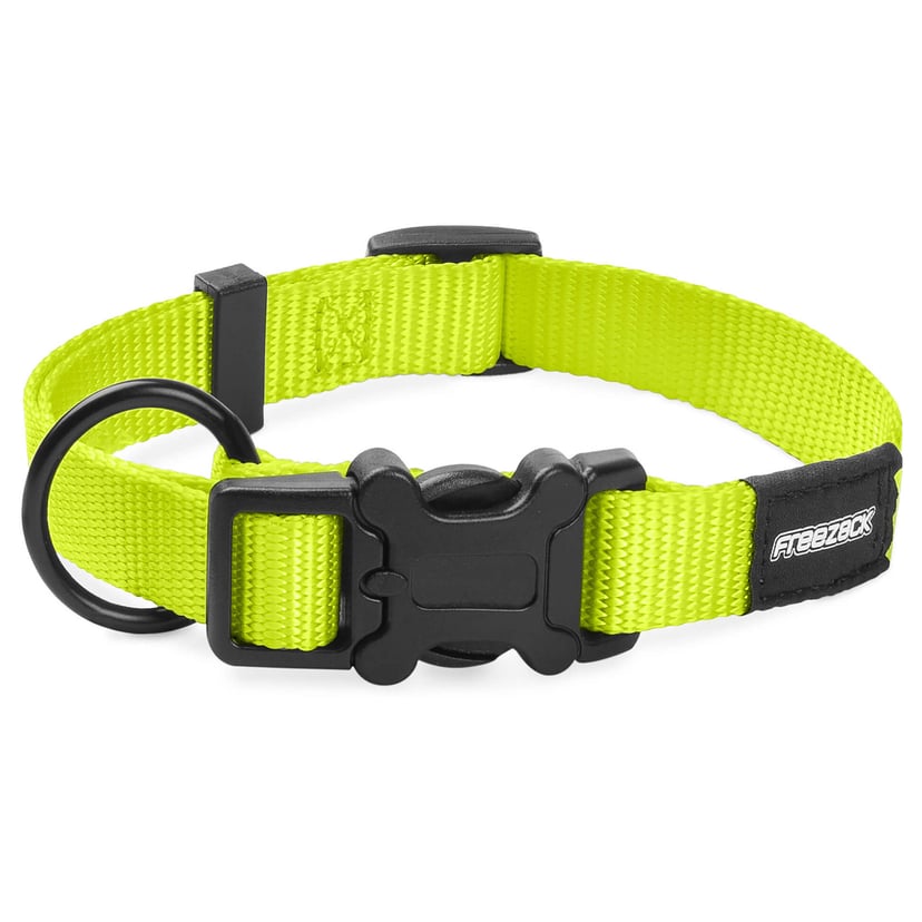 Collier pour chien BasicUni