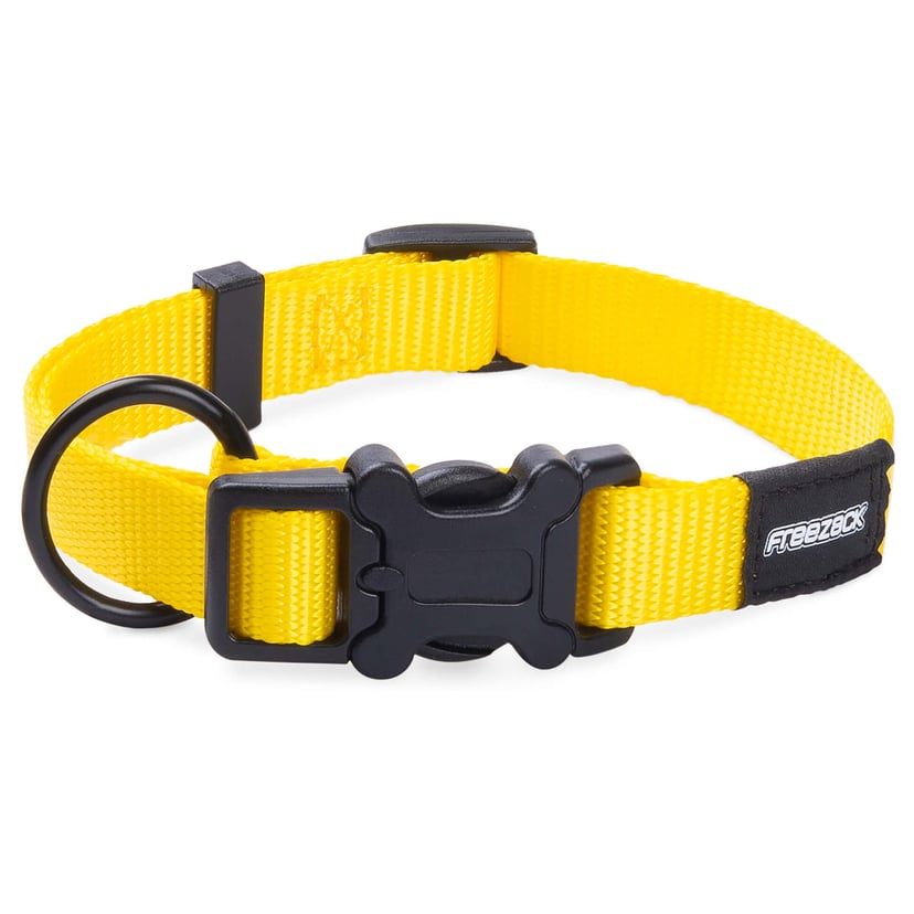 Collier pour chien BasicUni