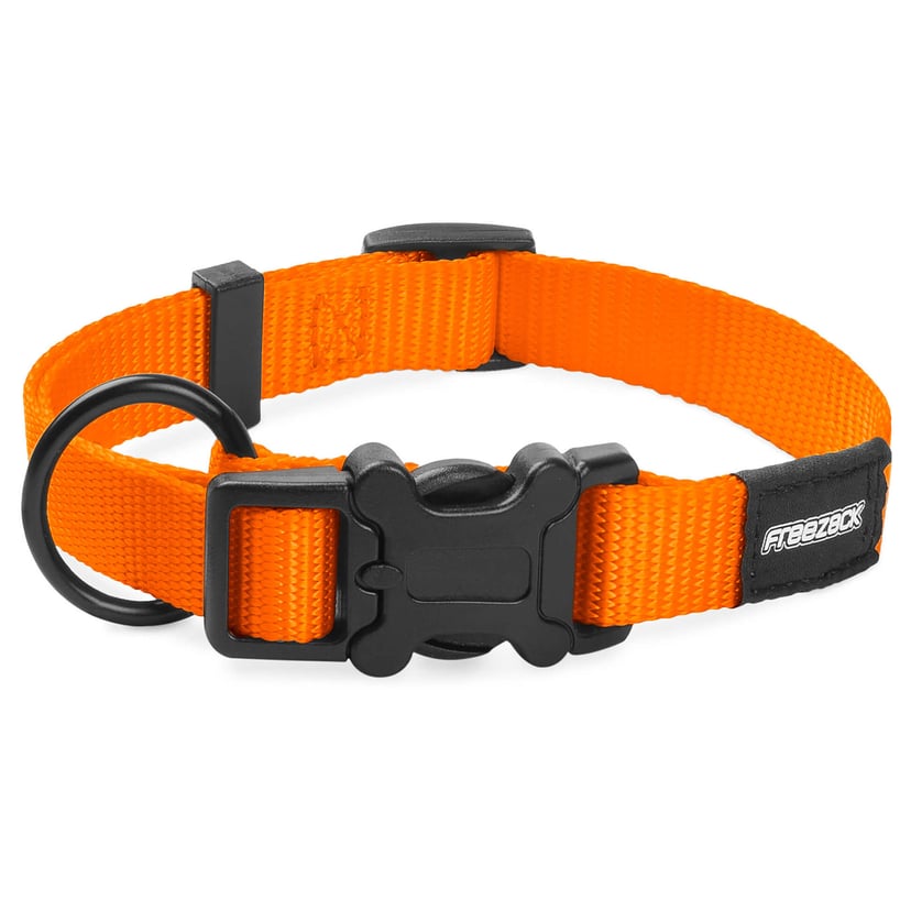 Collier pour chien BasicUni