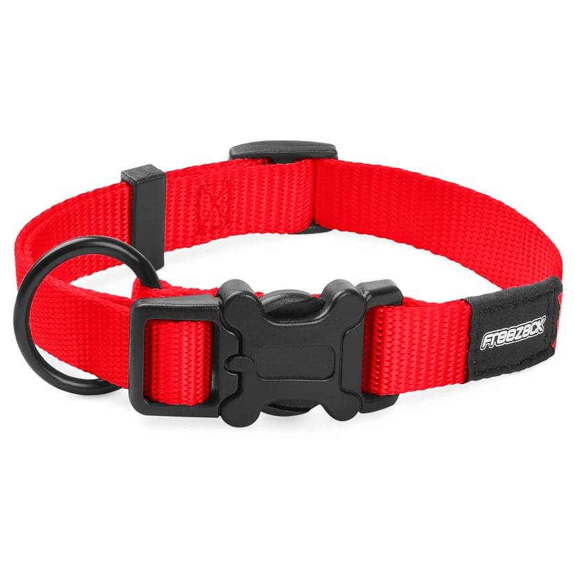 Collier pour chien BasicUni