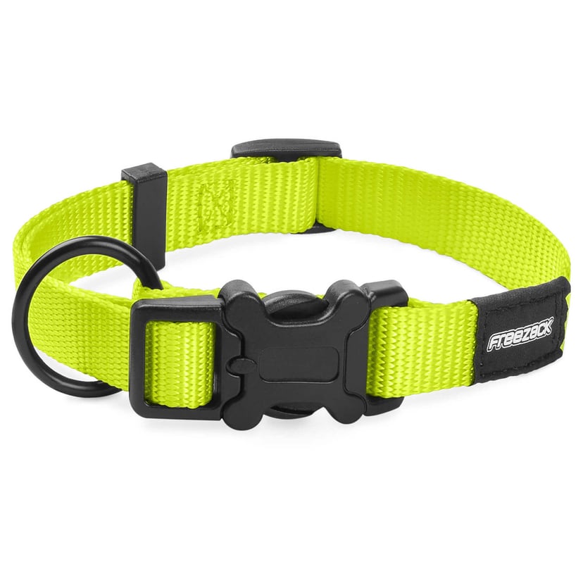 Collier pour chien BasicUni