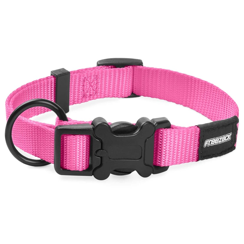 Collier pour chien BasicUni