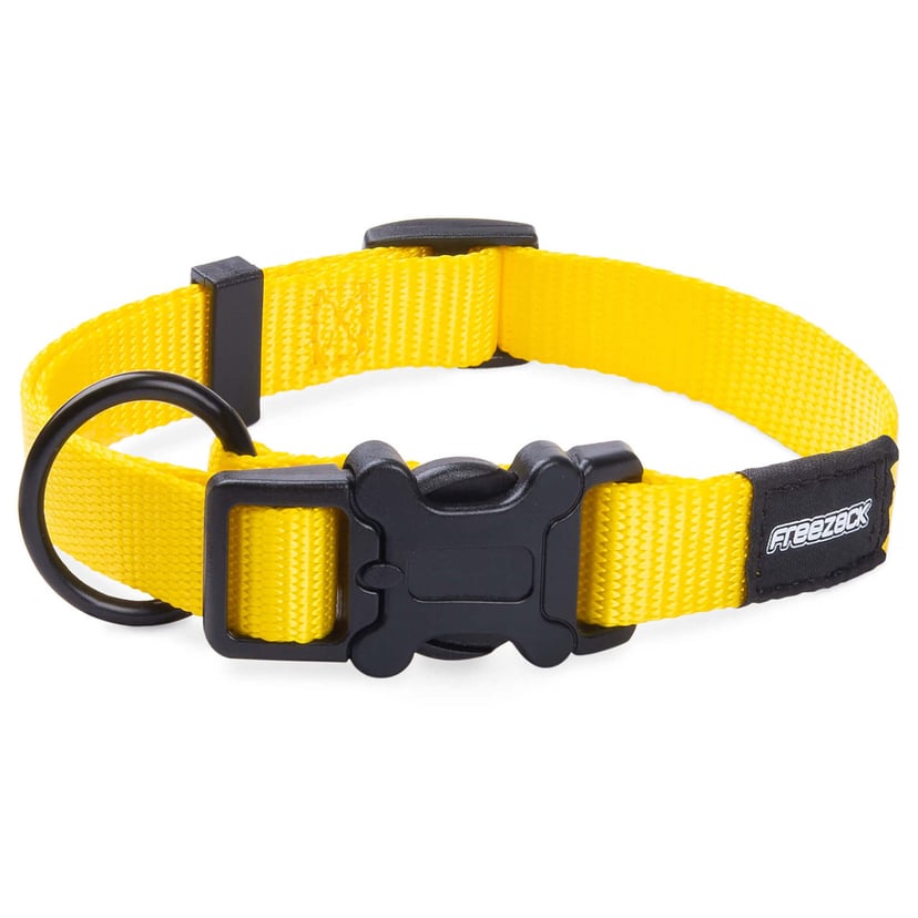Collier pour chien BasicUni
