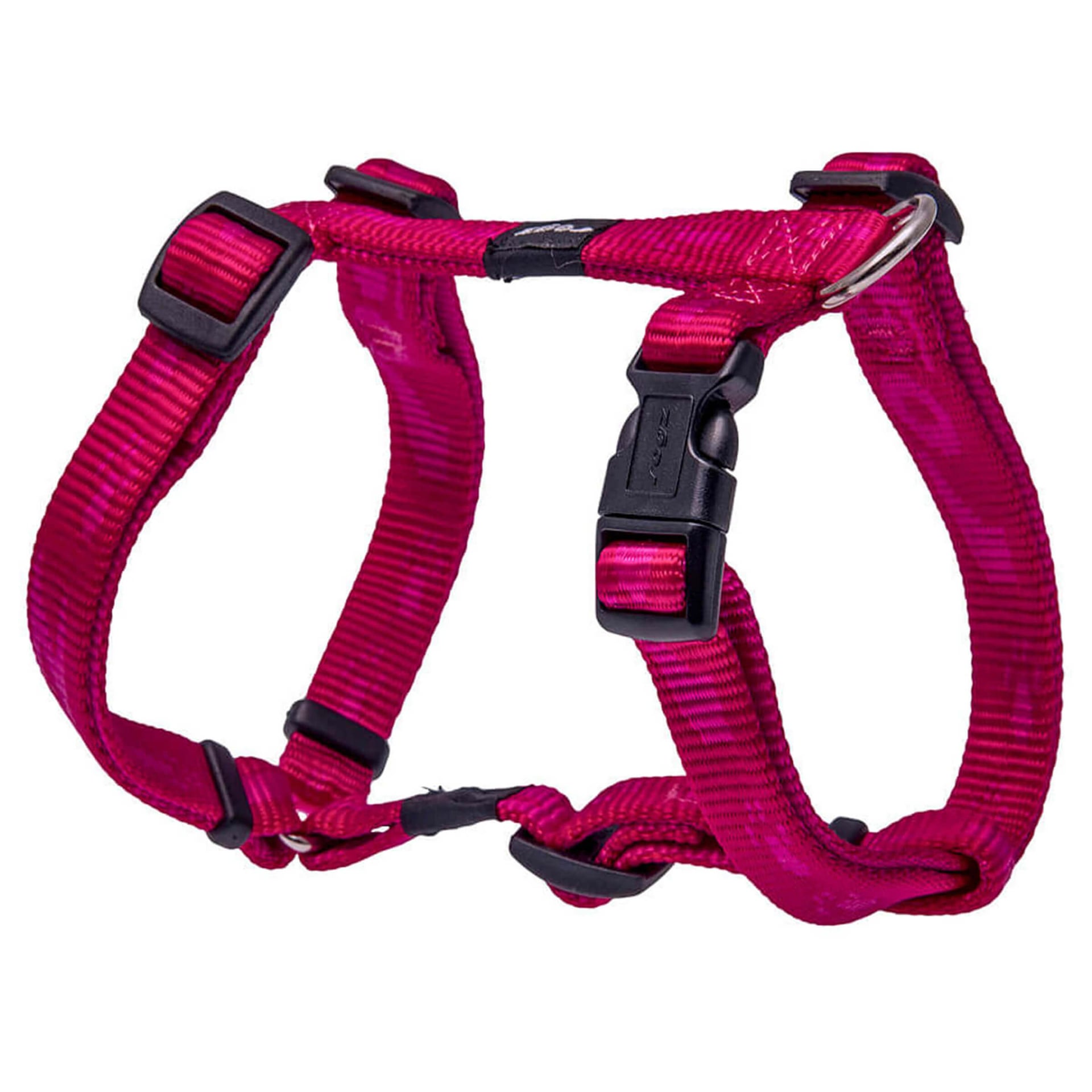 Alpinist Everest
