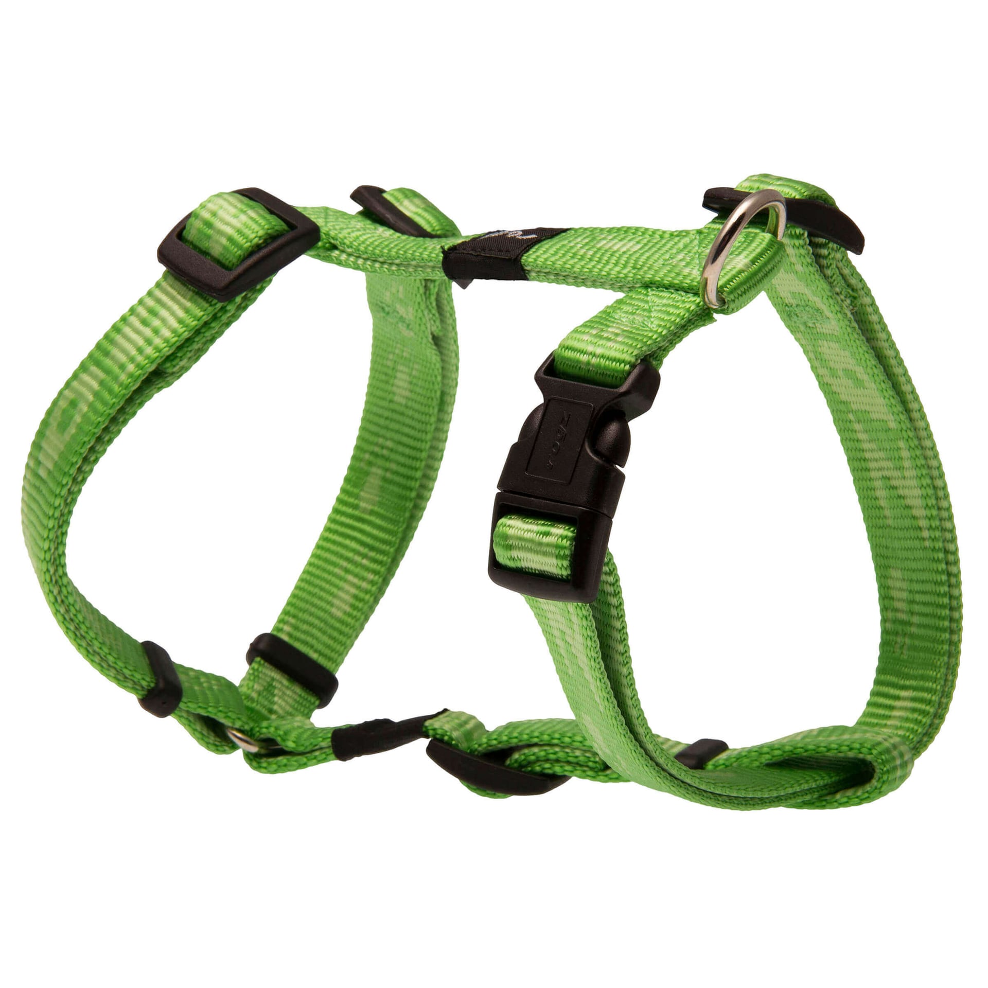 Alpinist Kilimanjaro