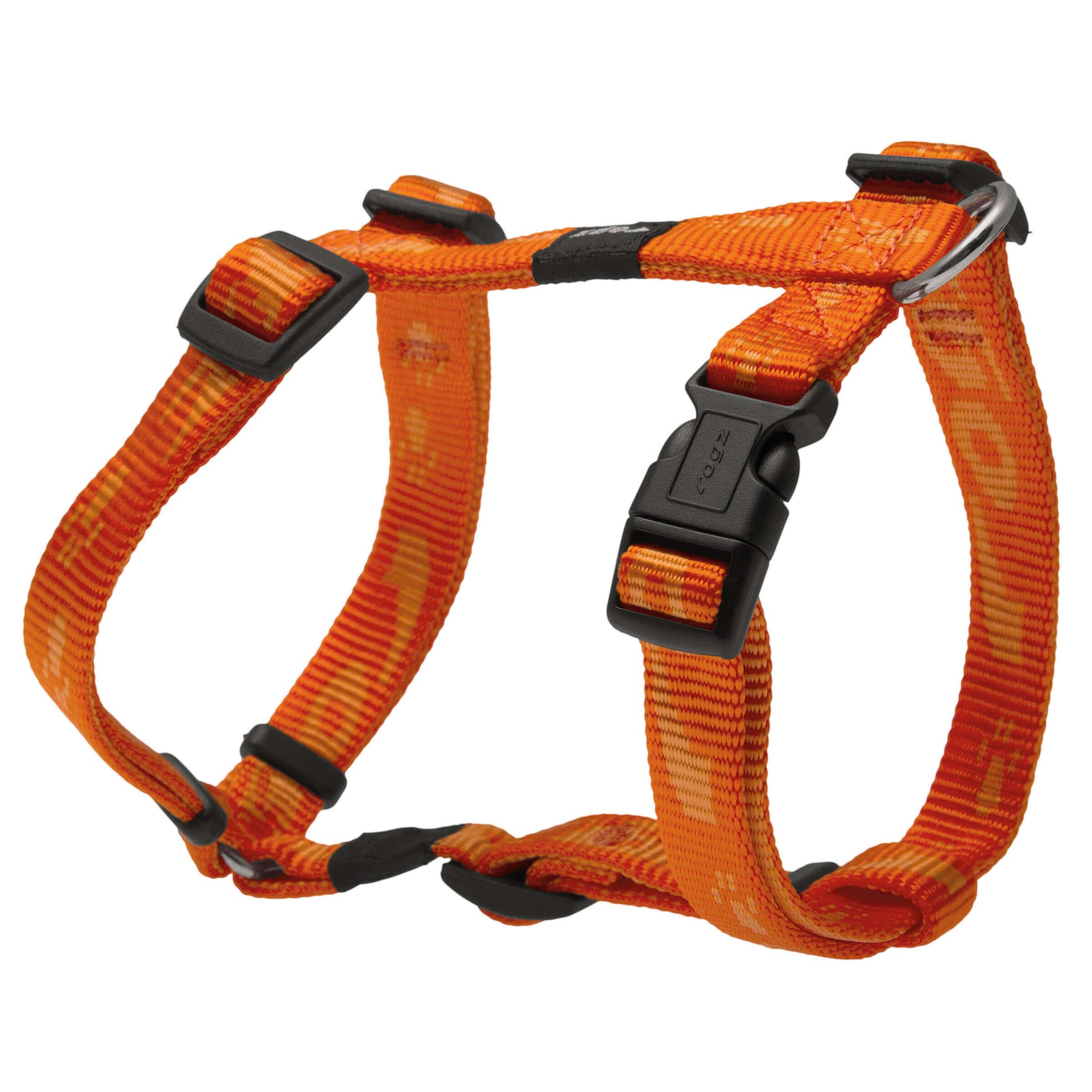 Alpinist Kilimanjaro