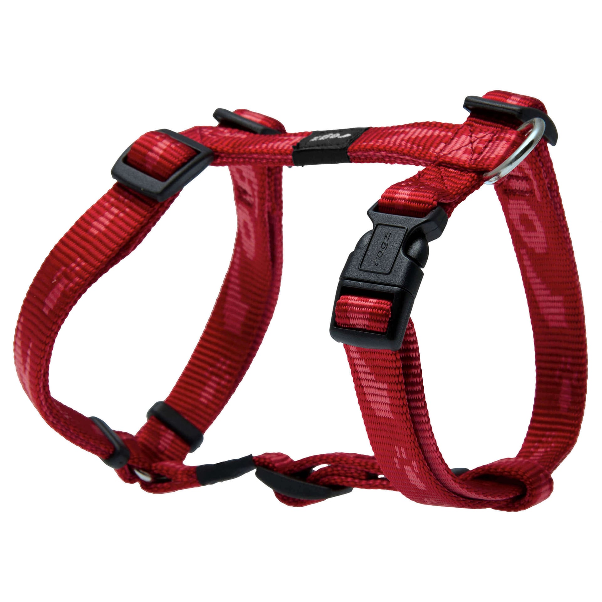 Alpinist Kilimanjaro