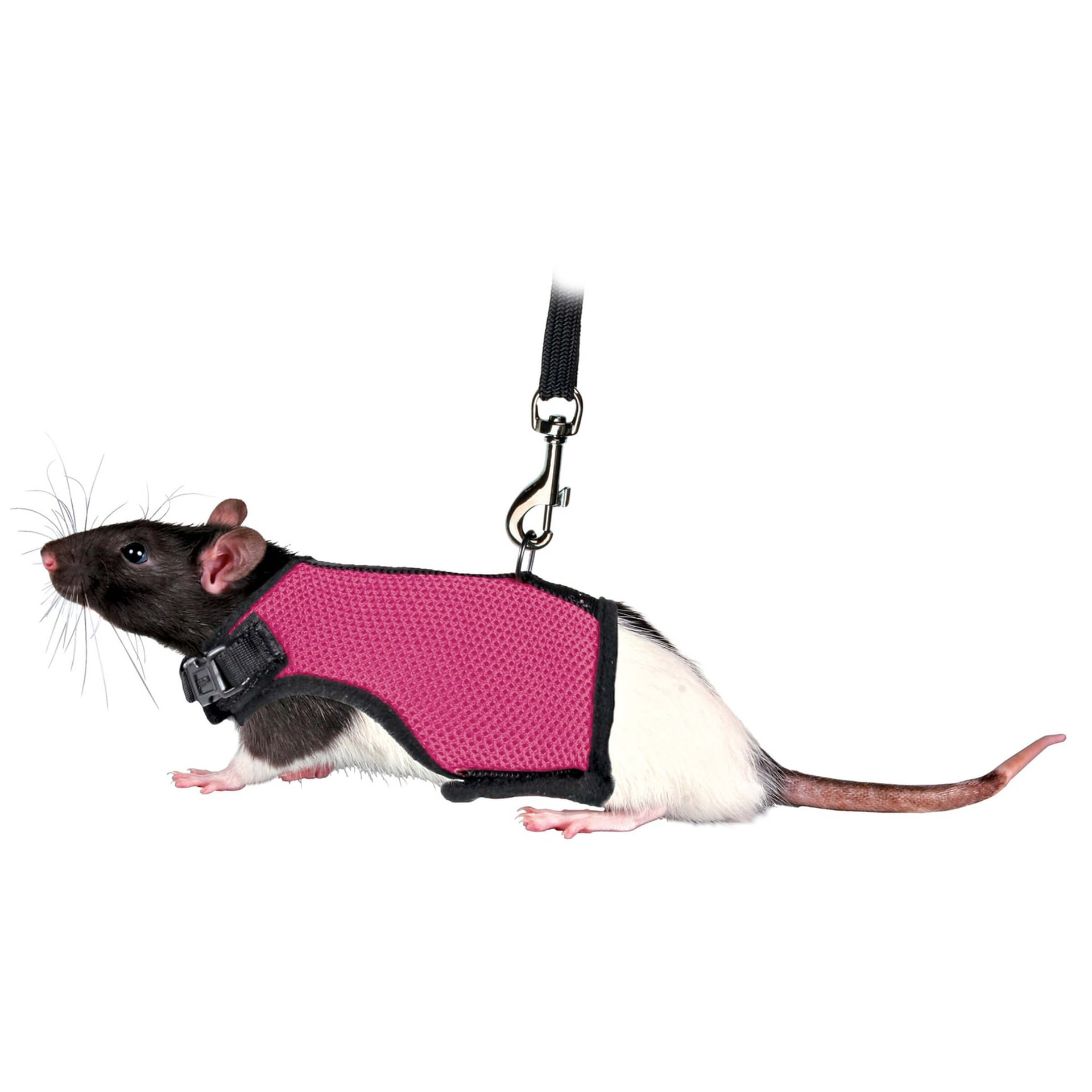 Softgeschirr mit Leine für Ratten