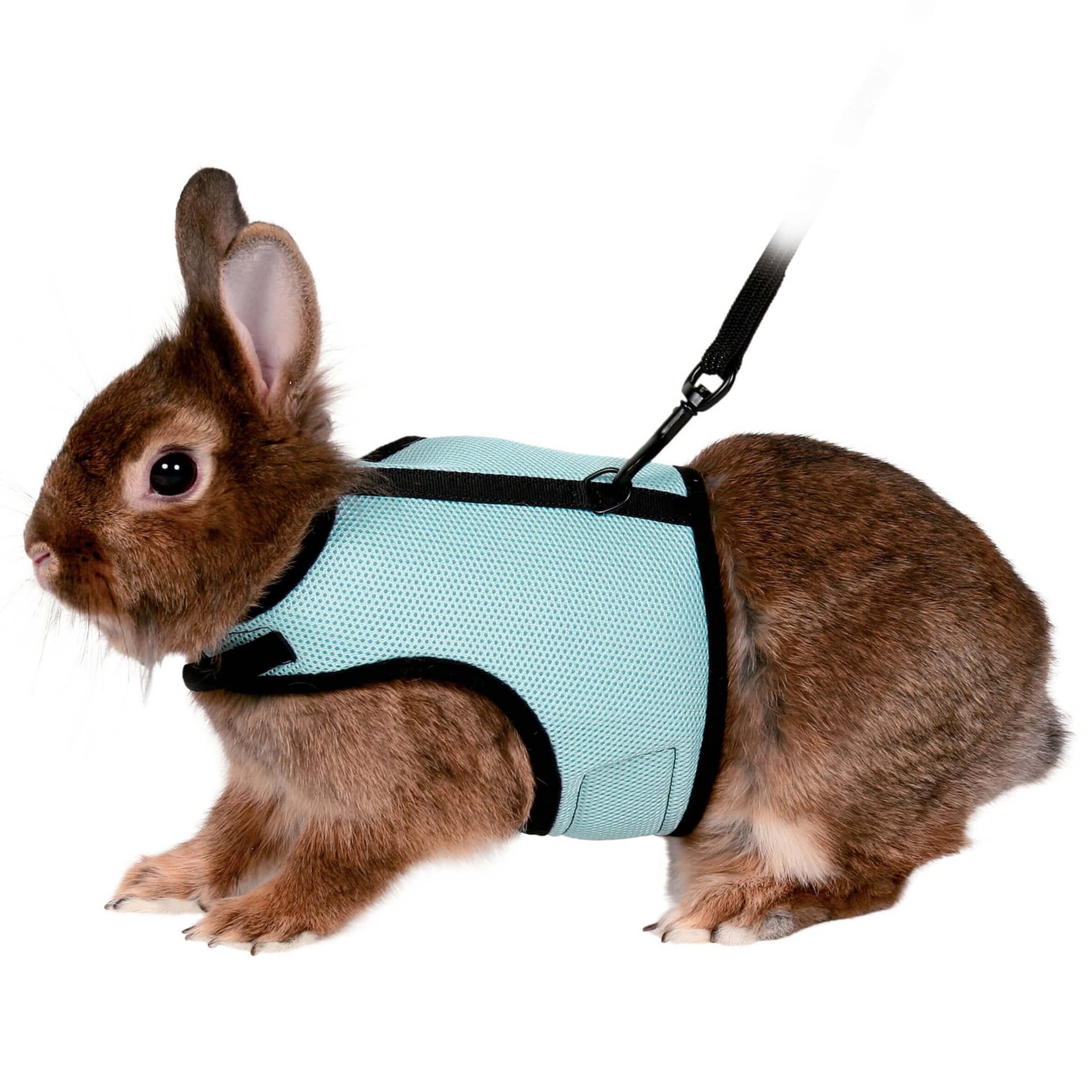 Softgeschirr mit Leine für Kaninchen