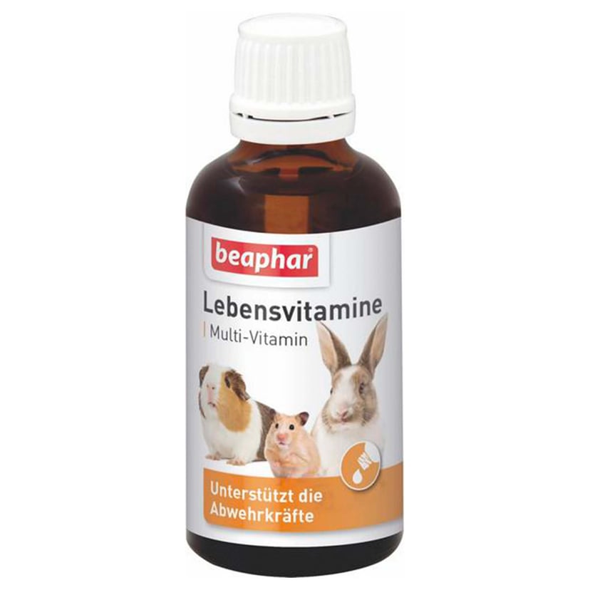 Vitamines vitales pour petits rongeurs
