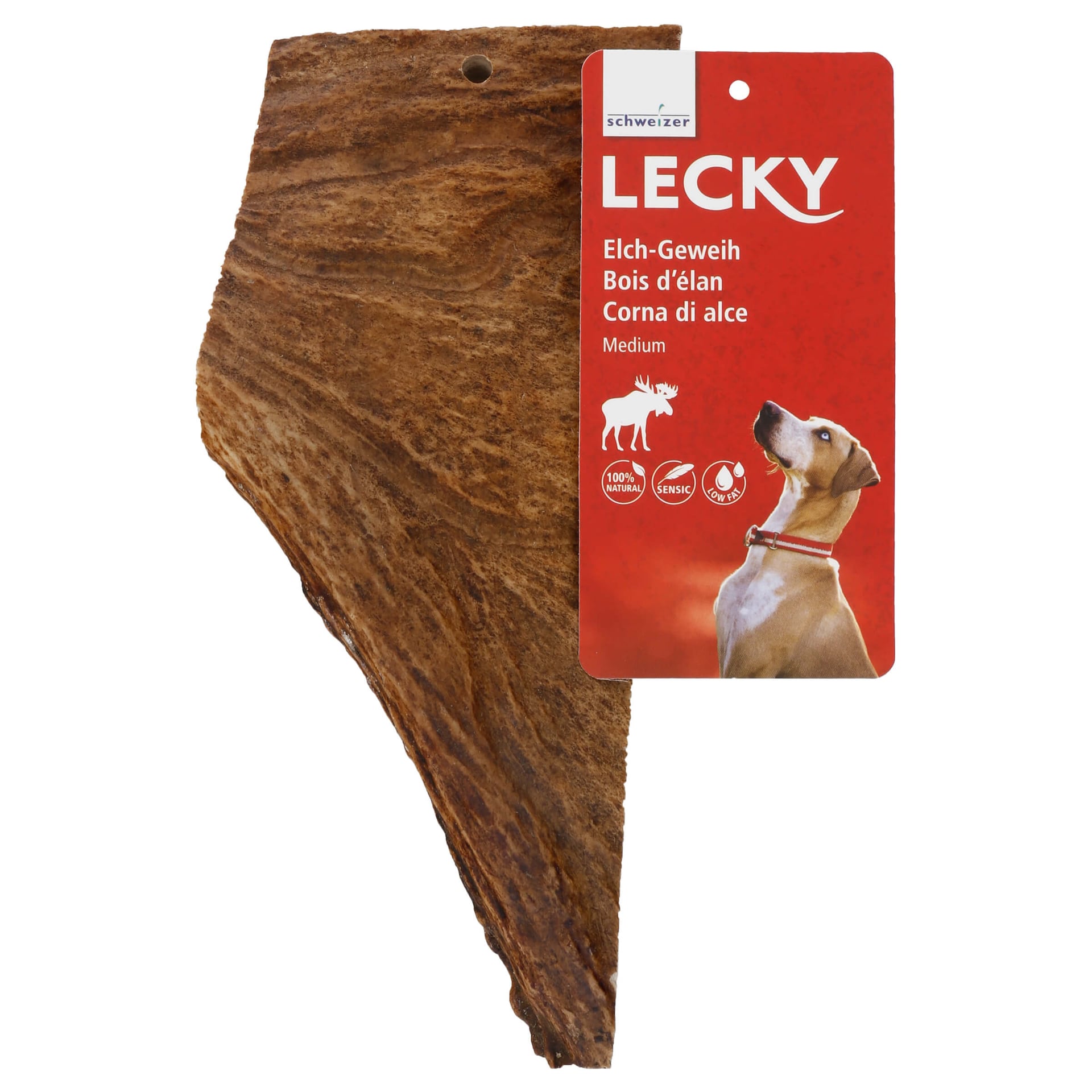 Elch-Geweih