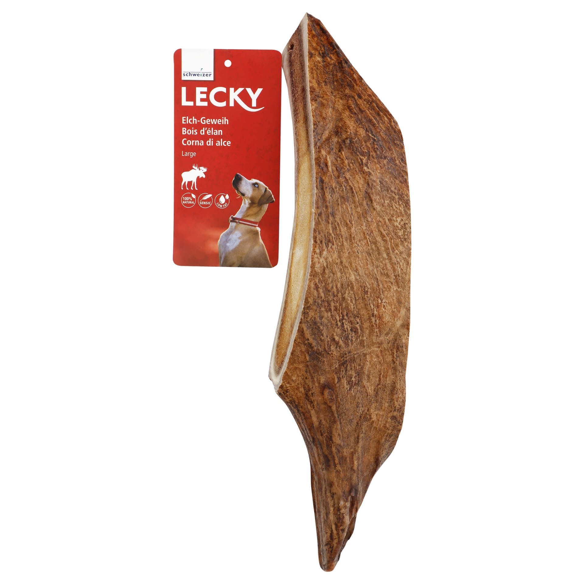 Elch-Geweih