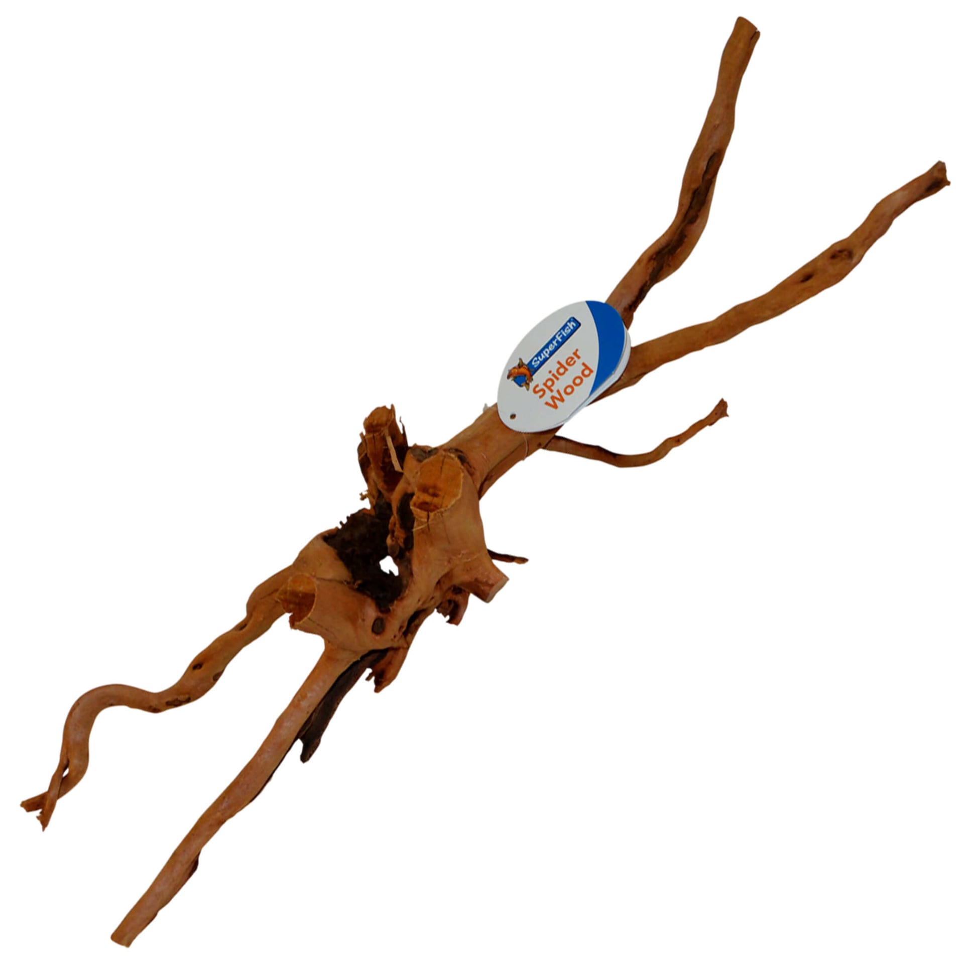 Spiderholz Racines ramifiées pour aquariums & terrariums
