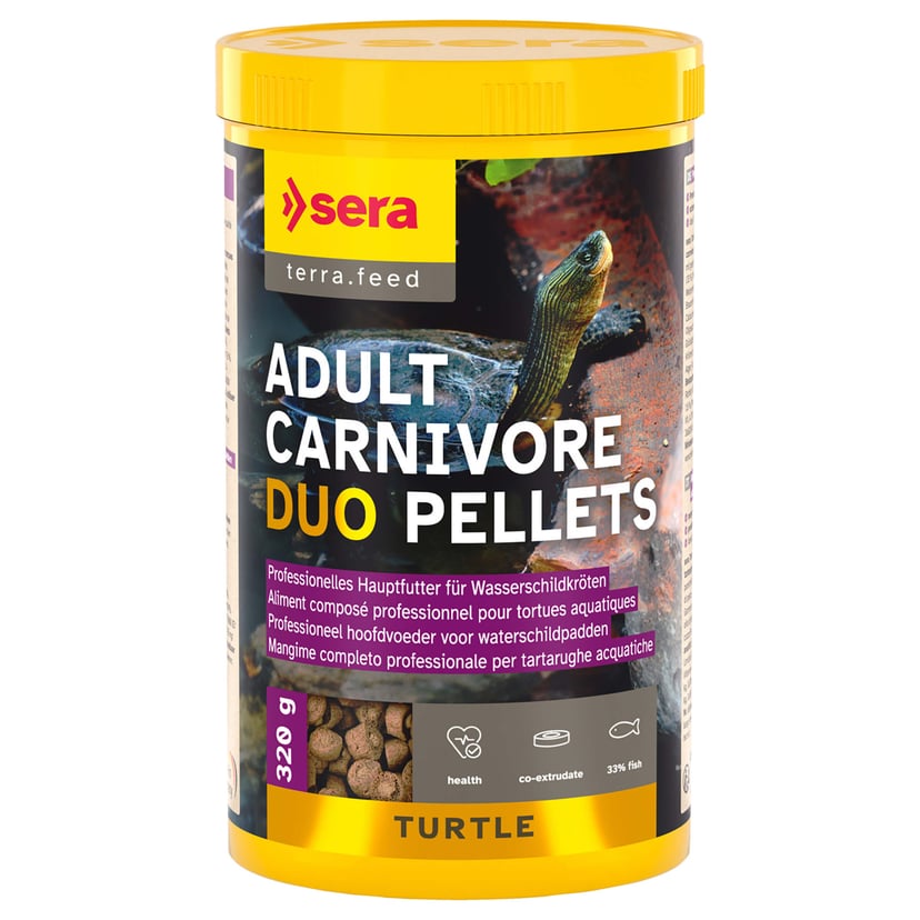 Reptil Carnivor nature