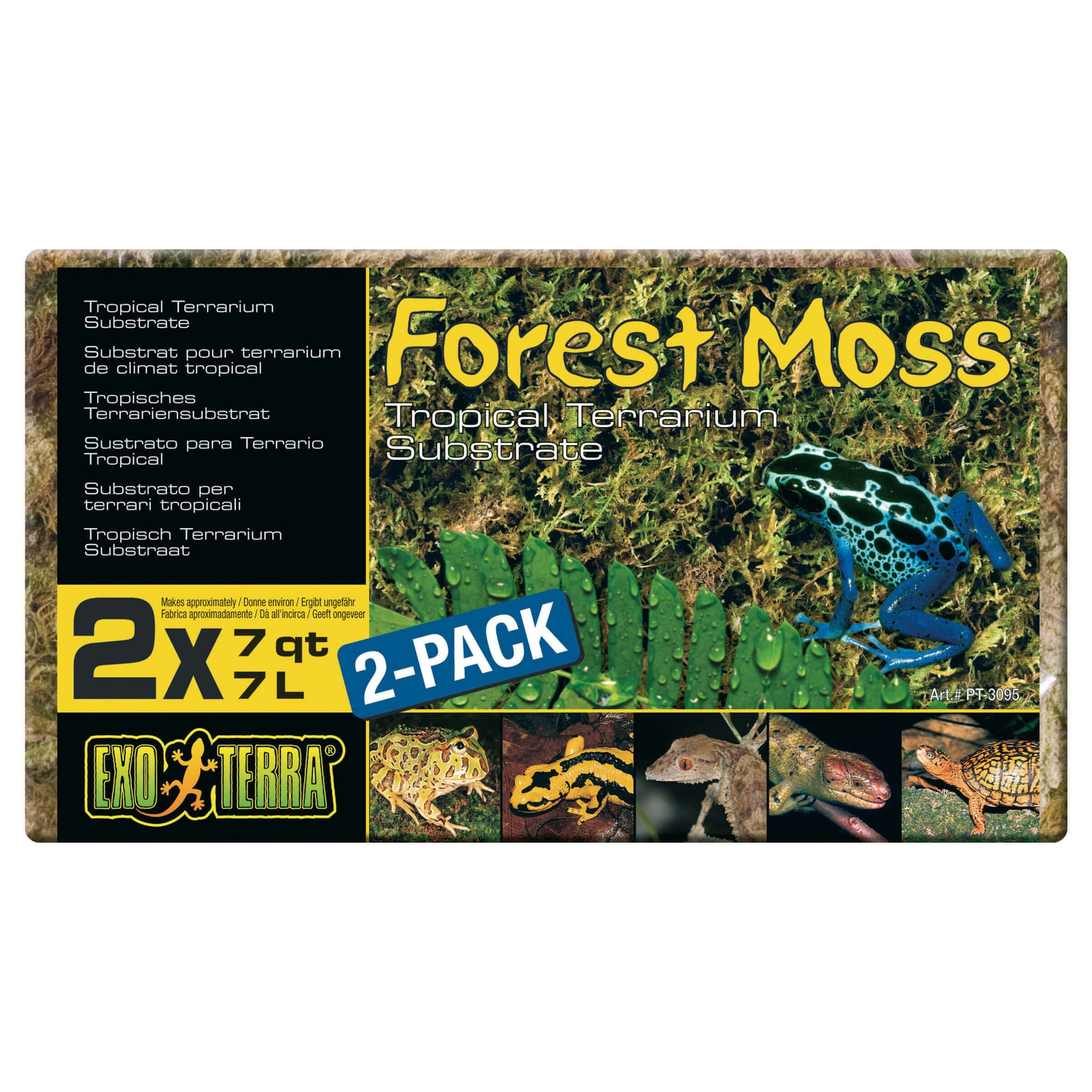 Forest Moss Substrat pour terrarium