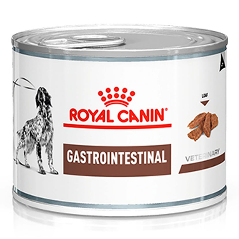 VET Chiens Gastrointestinal