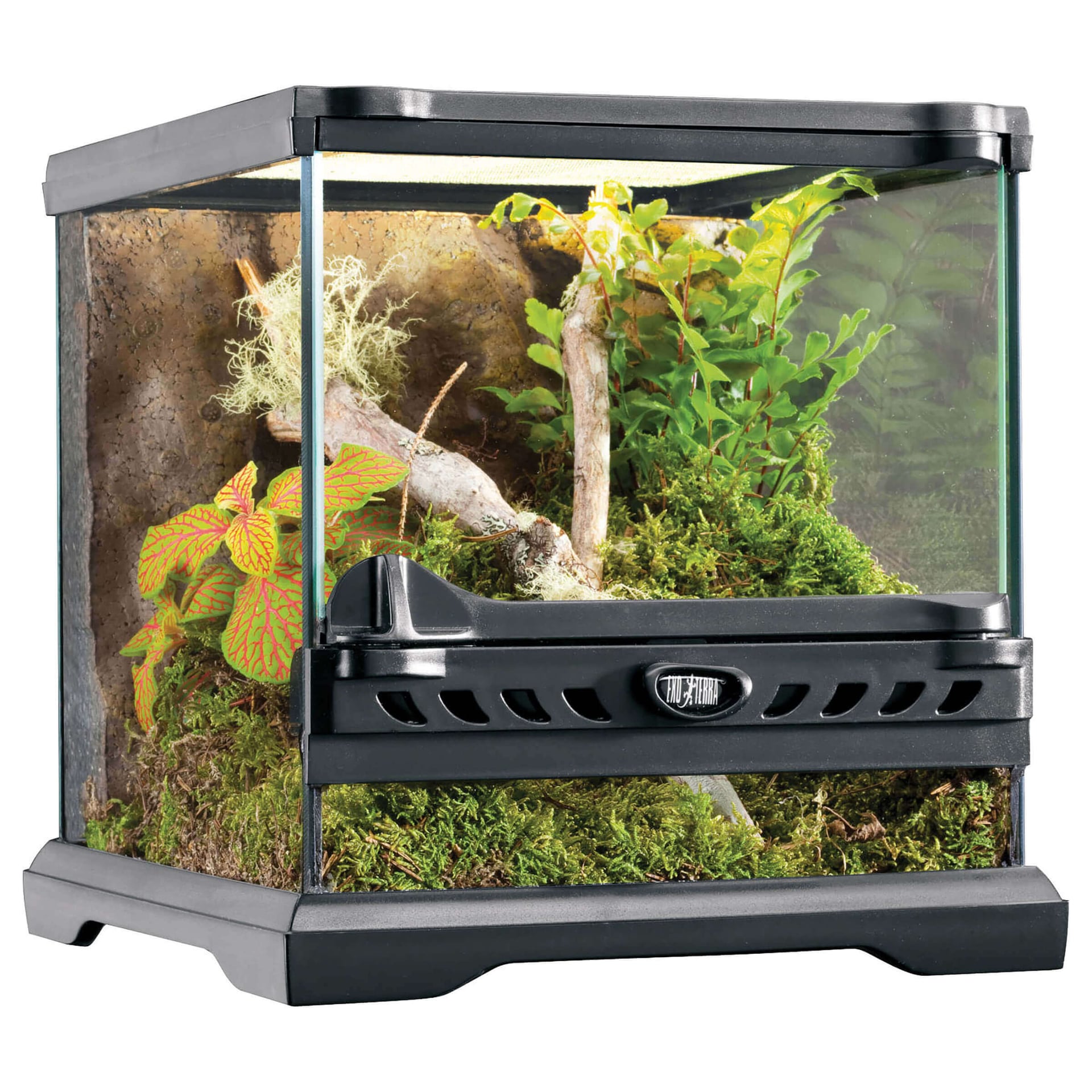 Nano Terrarium en verre