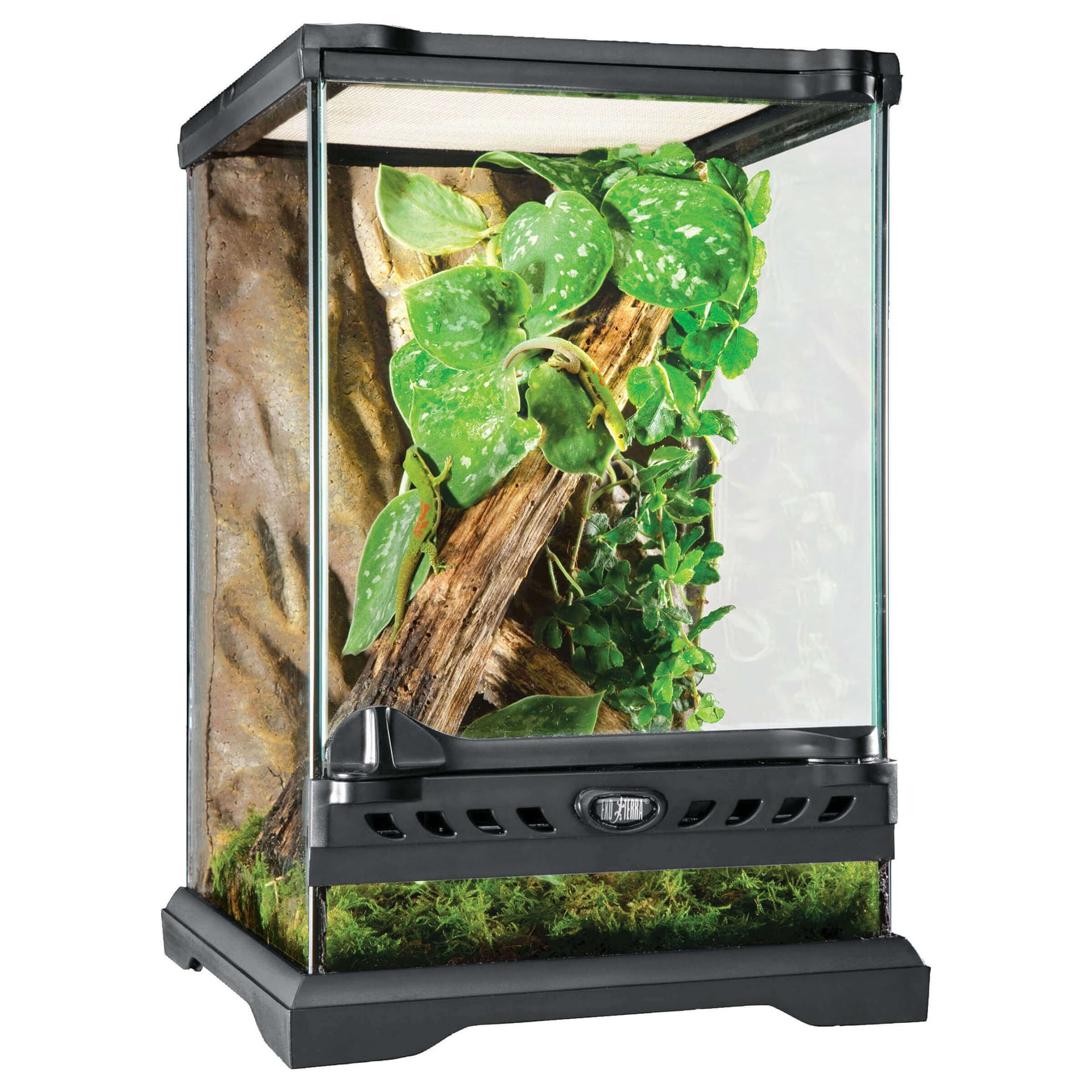Nano Terrarium en verre