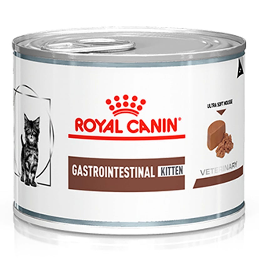 VET Chat Gastrointestinal Kitten