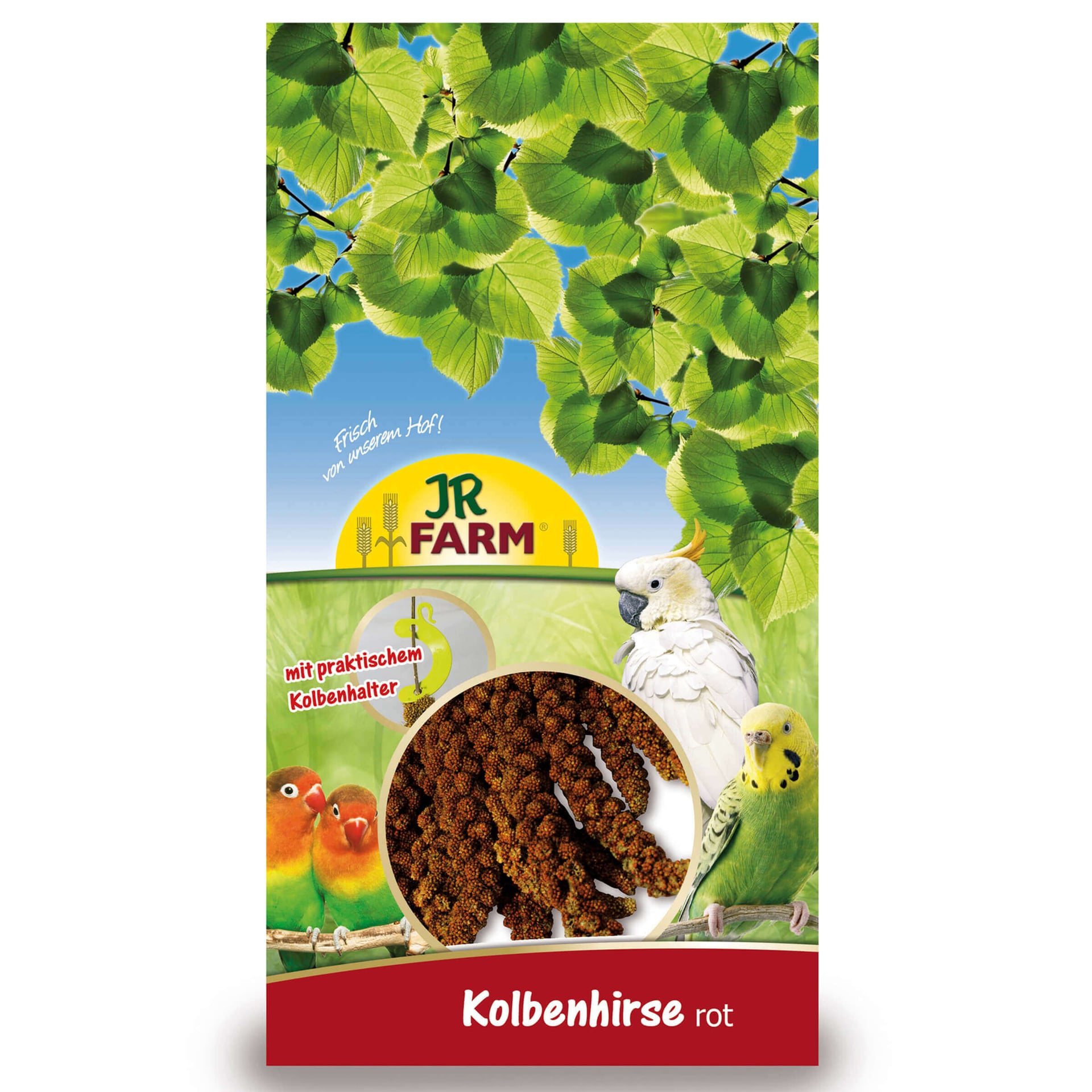 Vogel Kolbenhirse