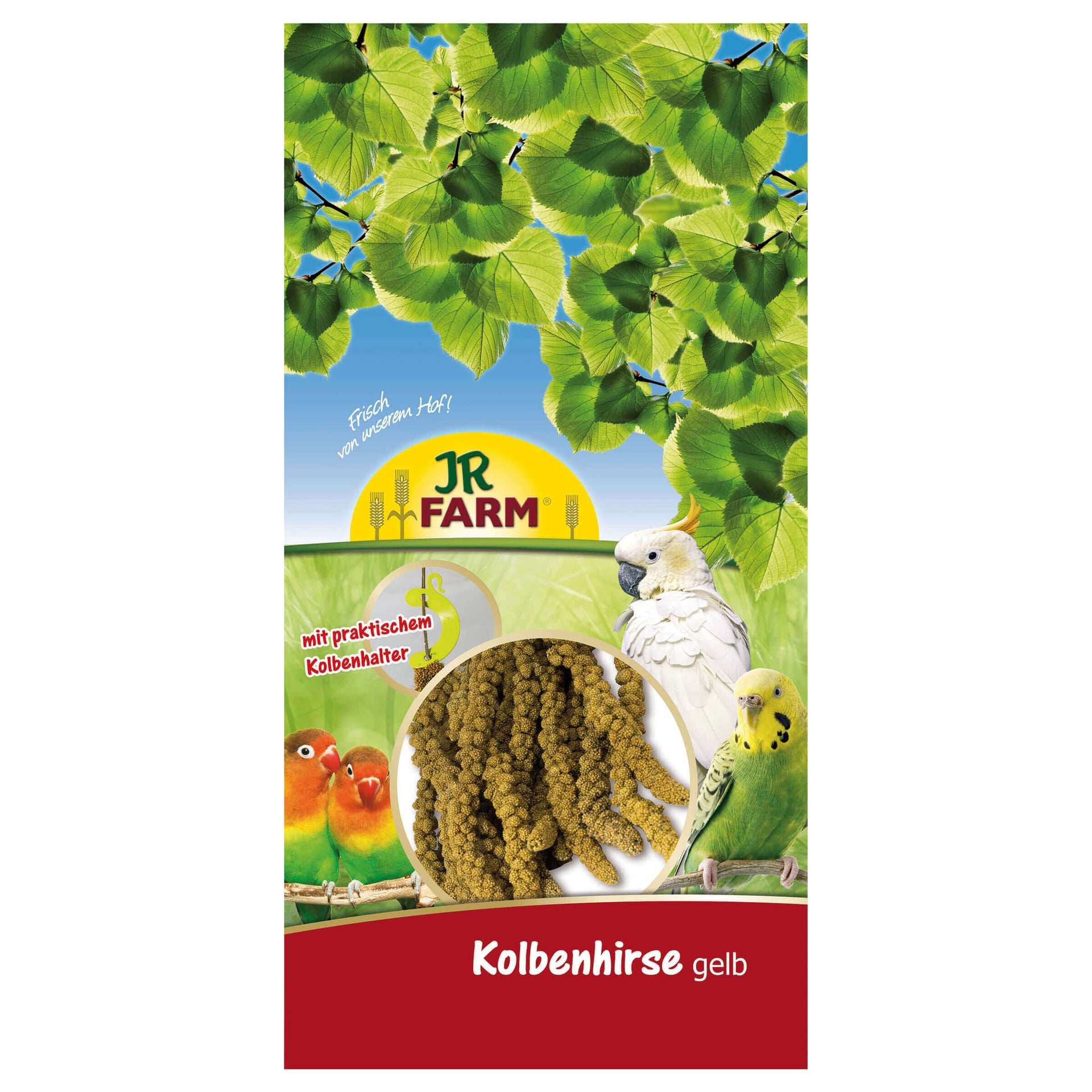 Kolbenhirse
