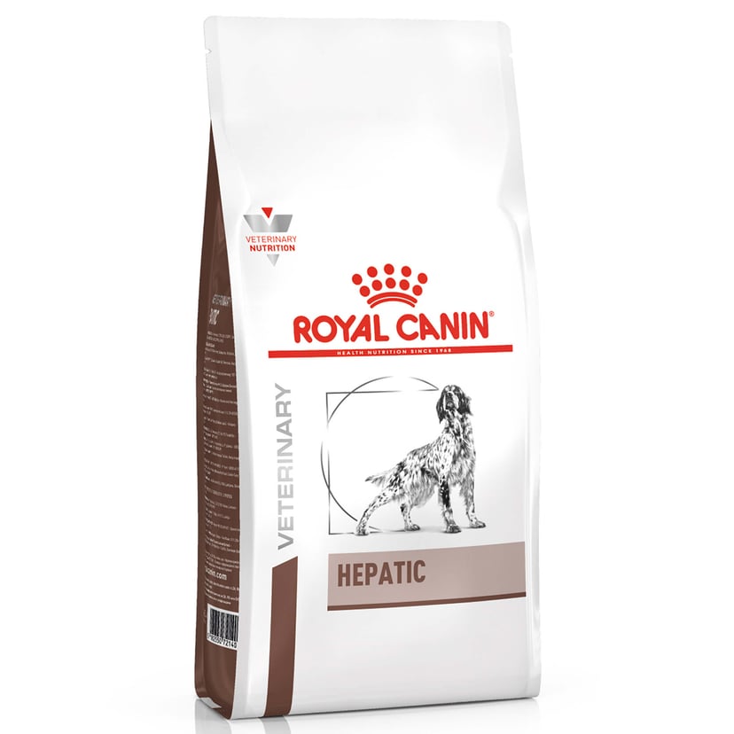 Chien Hepatic