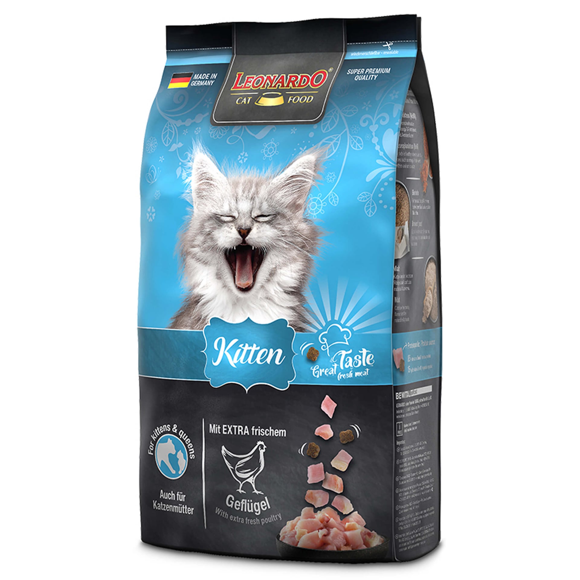 Kitten
