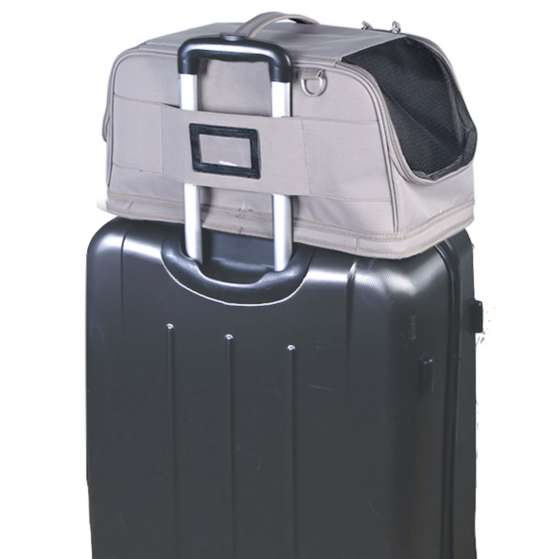 Travel Bag B
