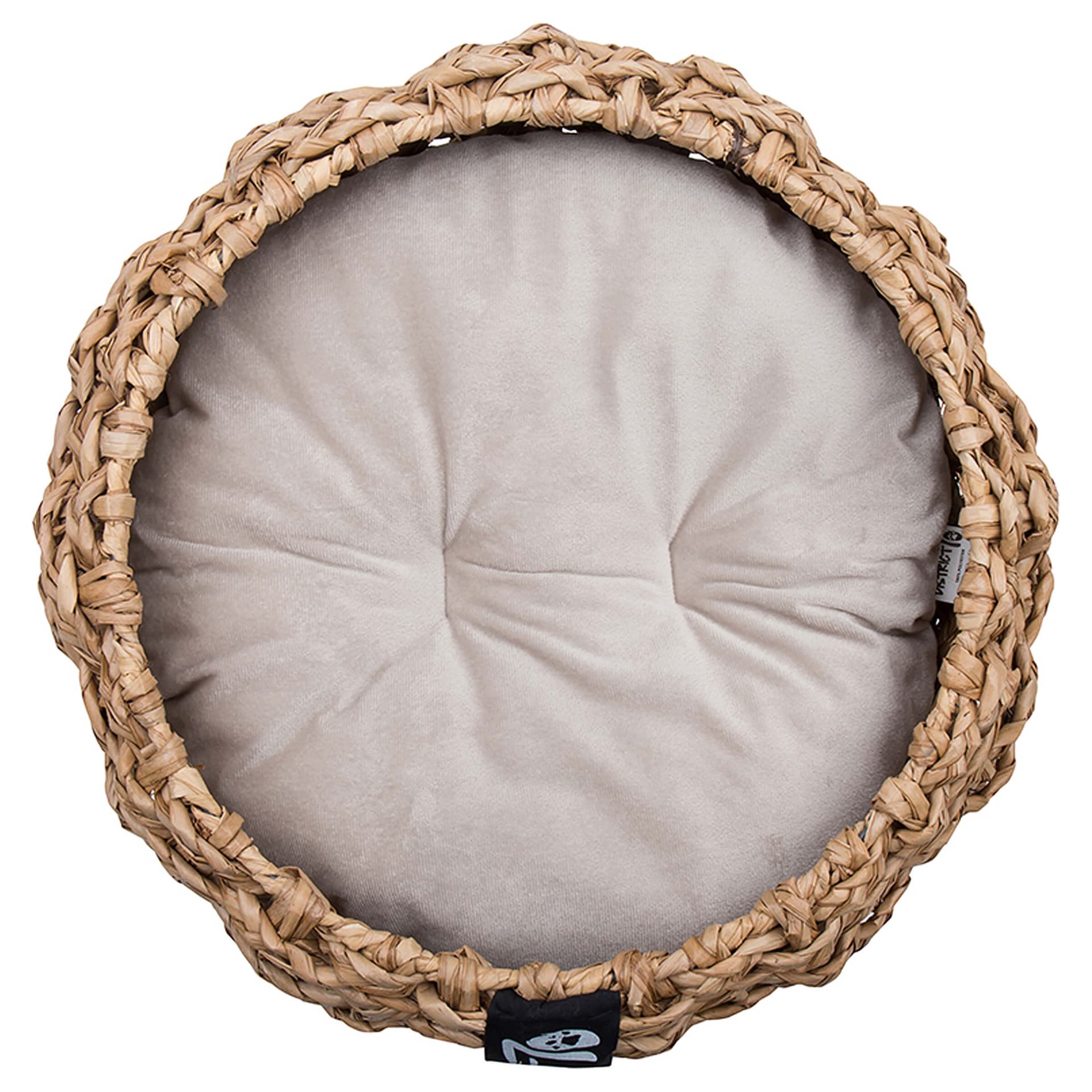 COCOON