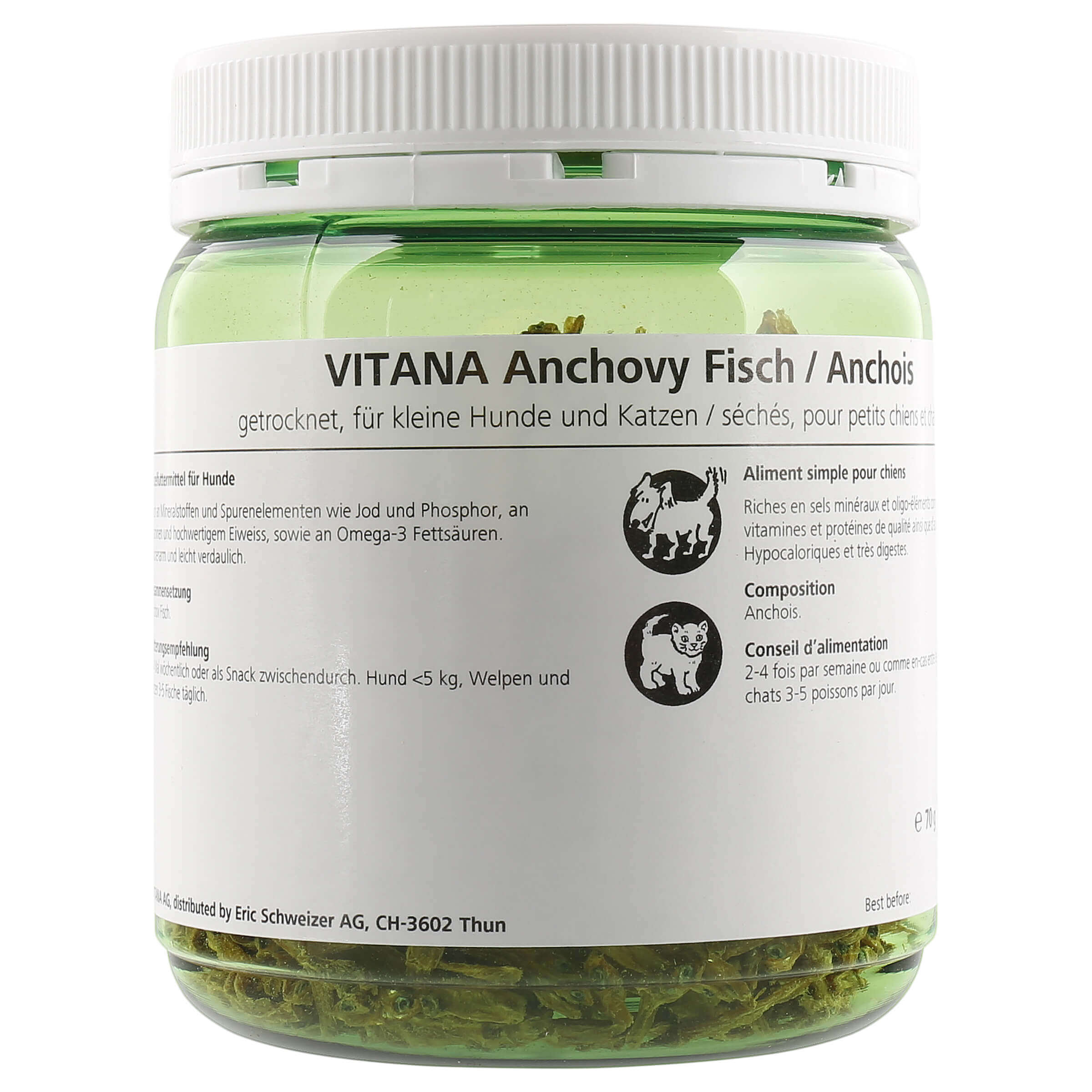 Anchovy Fish