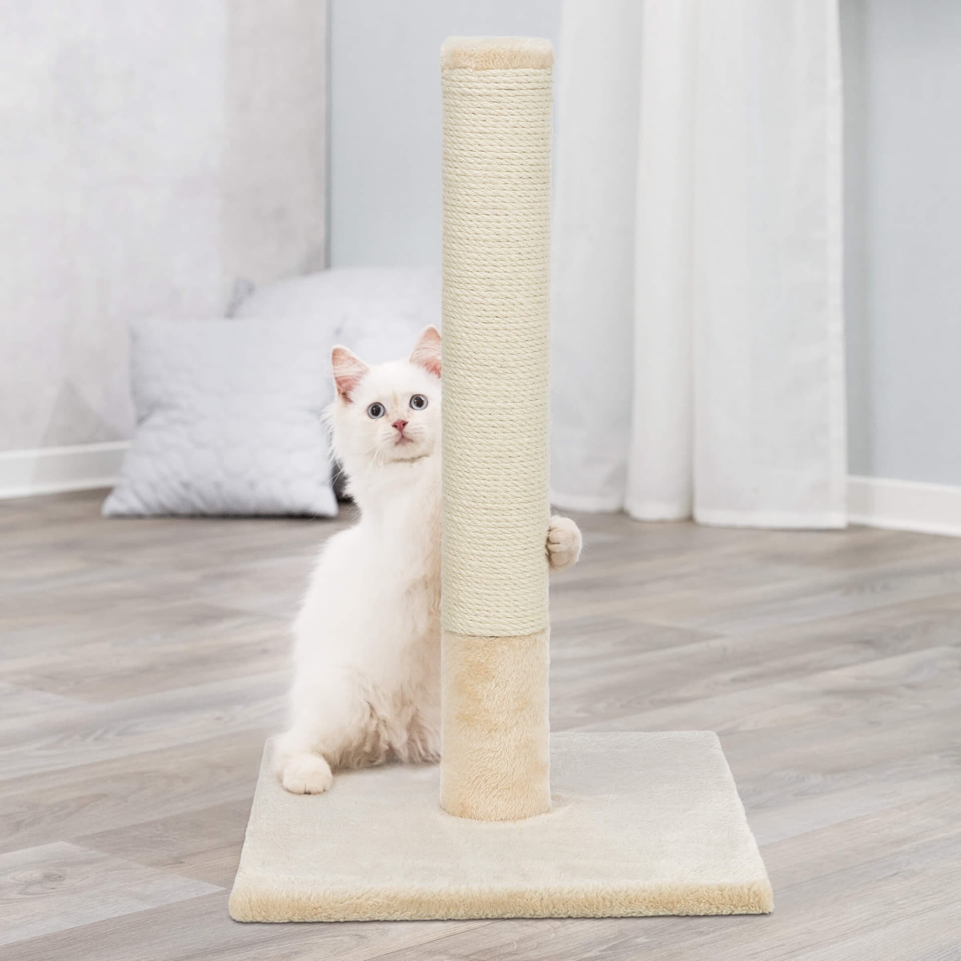 Griffoir pour chat Batres