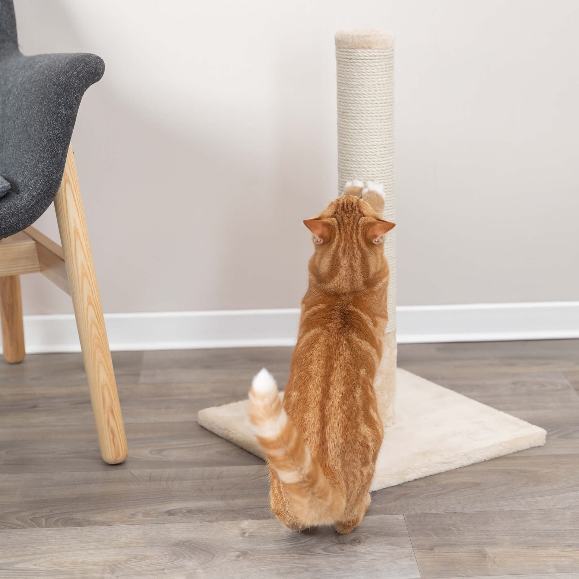 Griffoir pour chat Batres