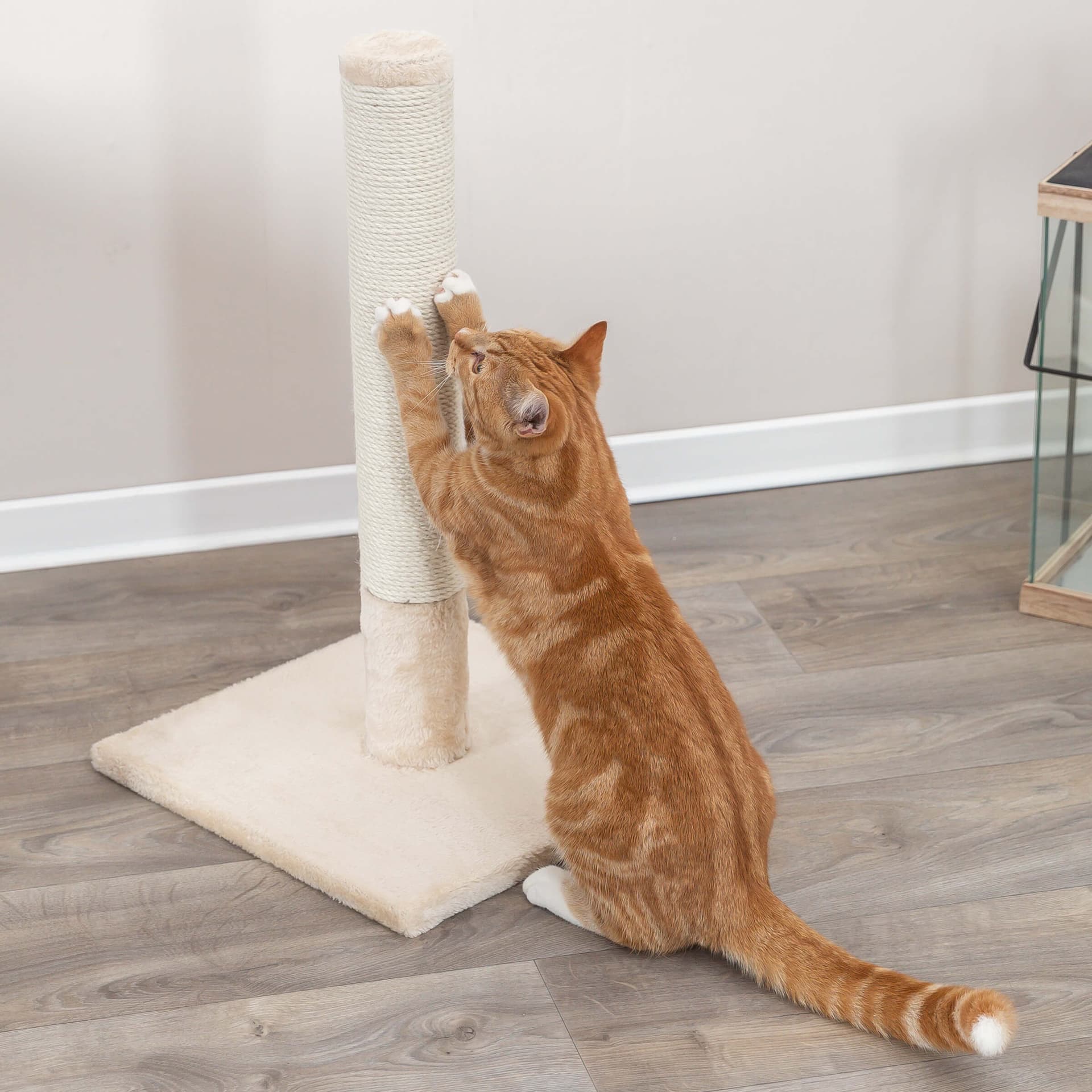 Griffoir pour chat Batres