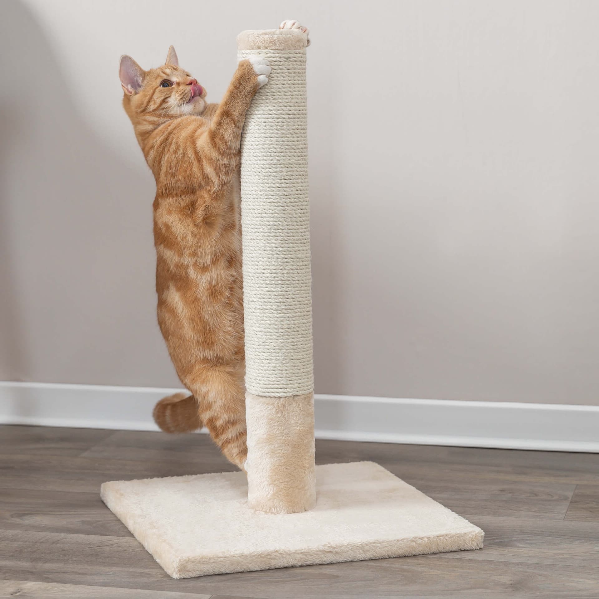 Griffoir pour chat Batres