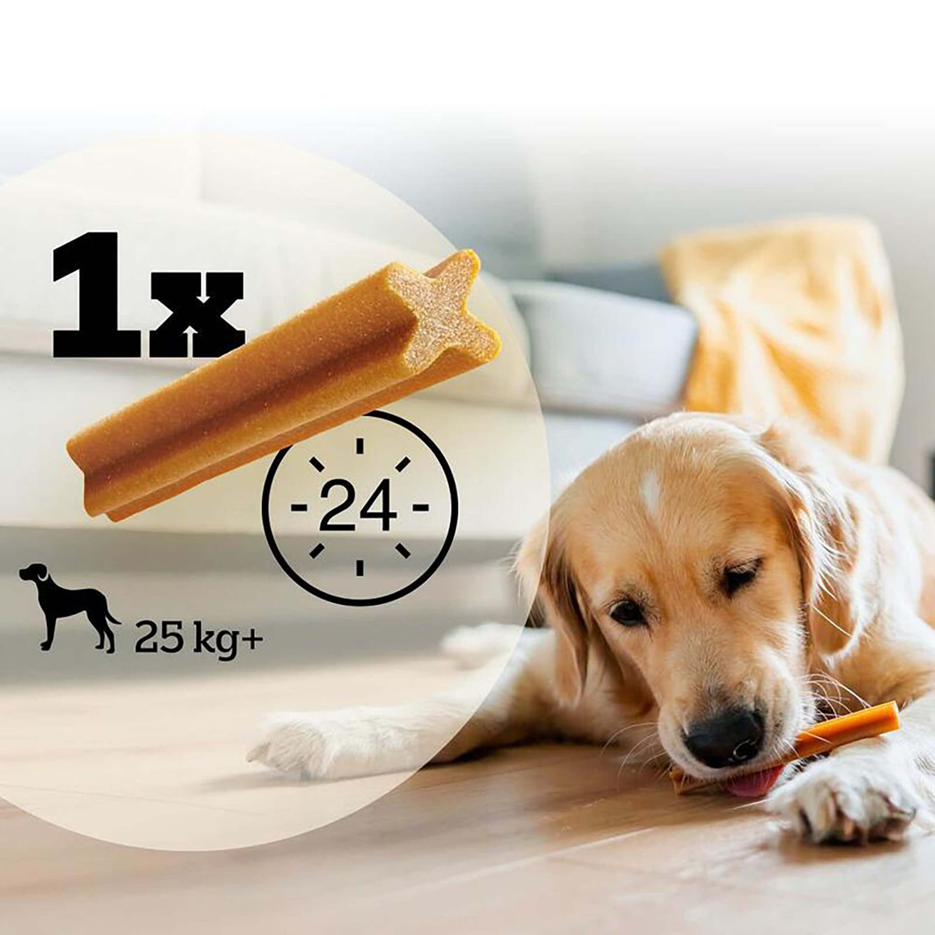 Dentastix L