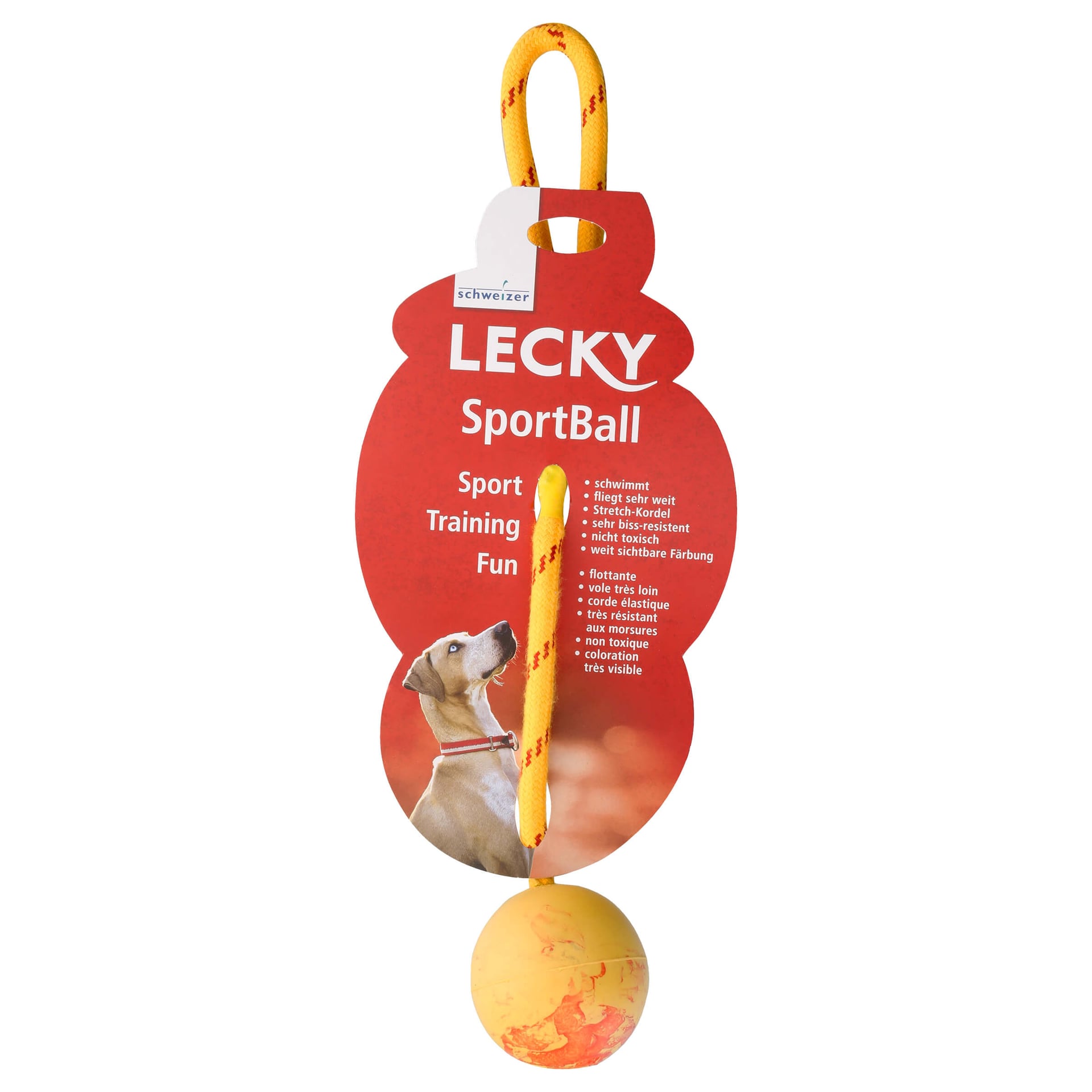 Sport Ball Wasserspielzeug für Hunde mit Kordel