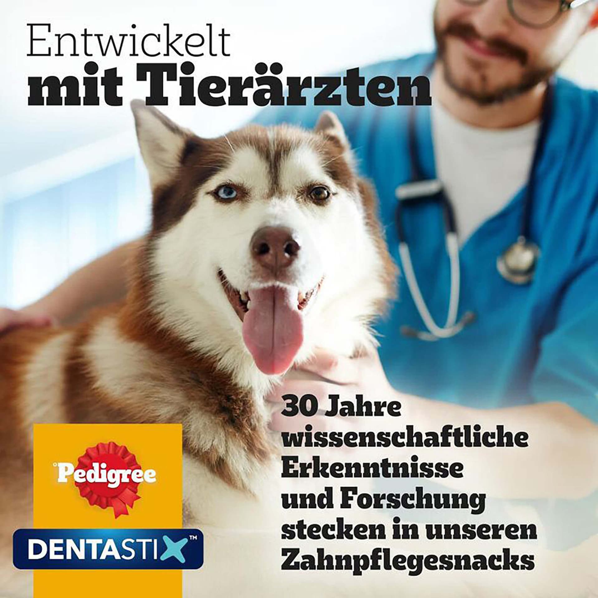 Dentastix L