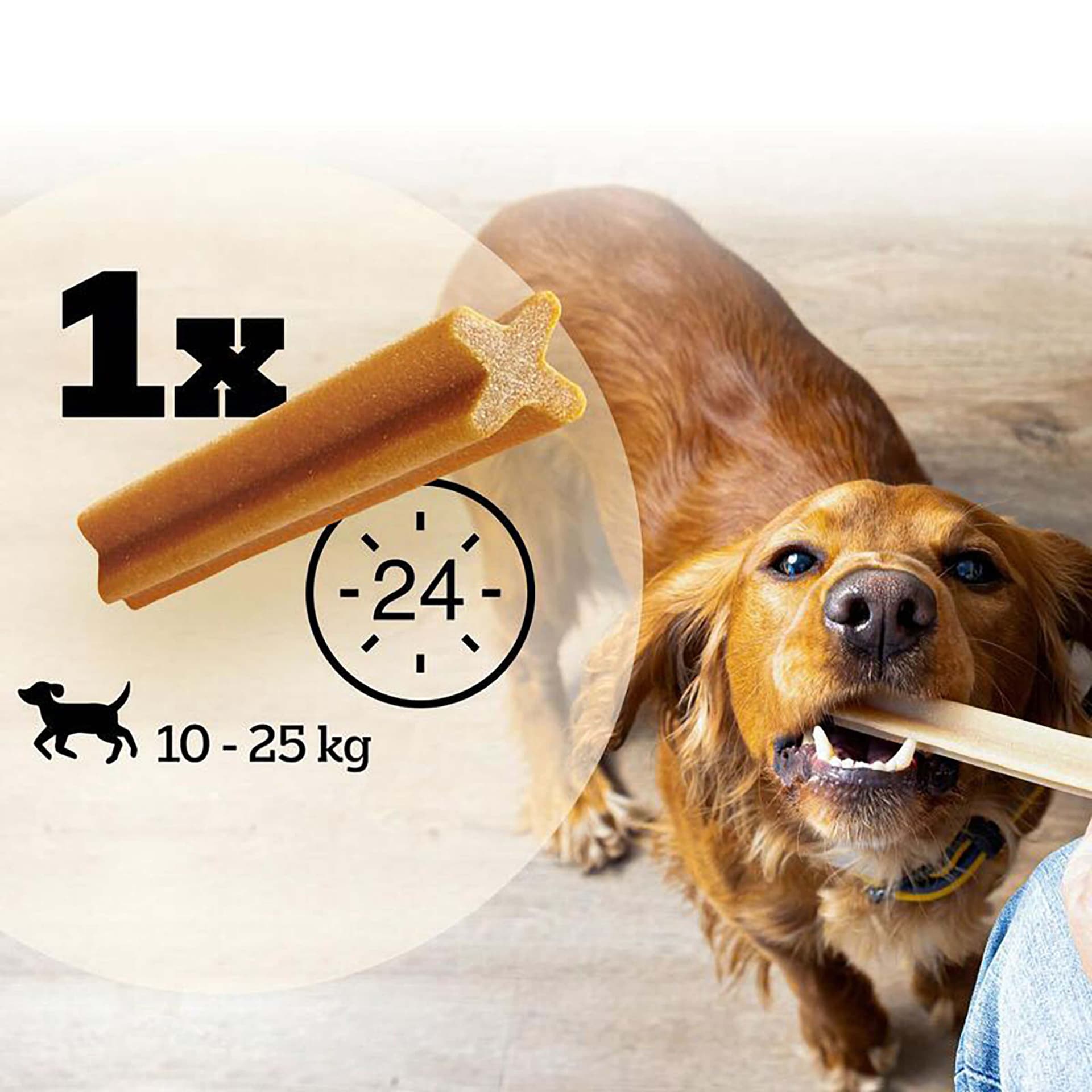 Dentastix M