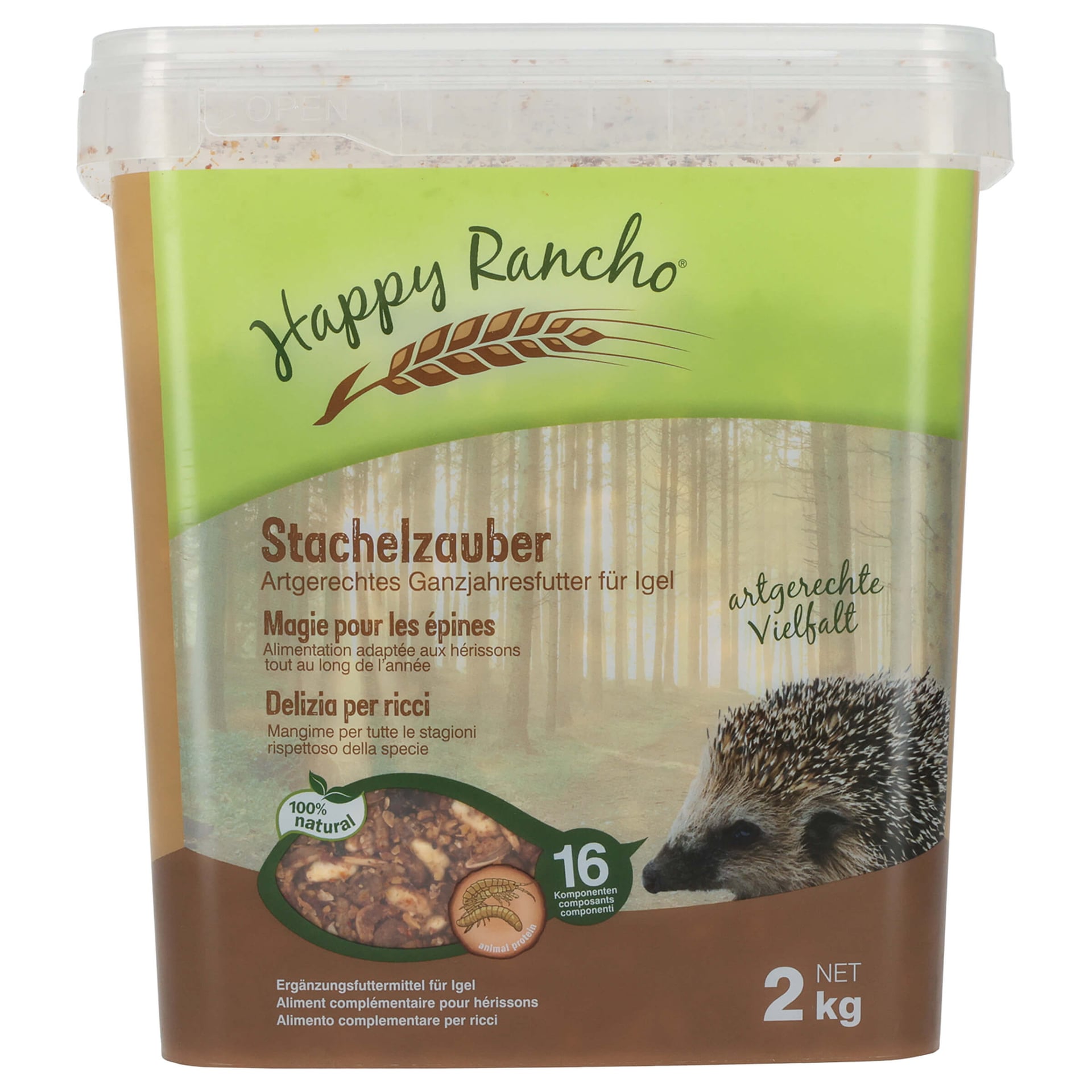 Igel Stachelzauber