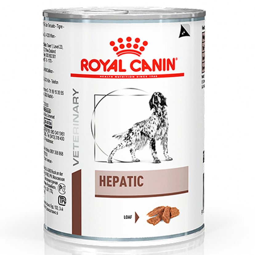 Hepatic