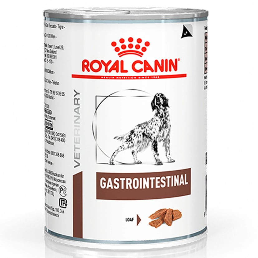 Gastro Intestinal