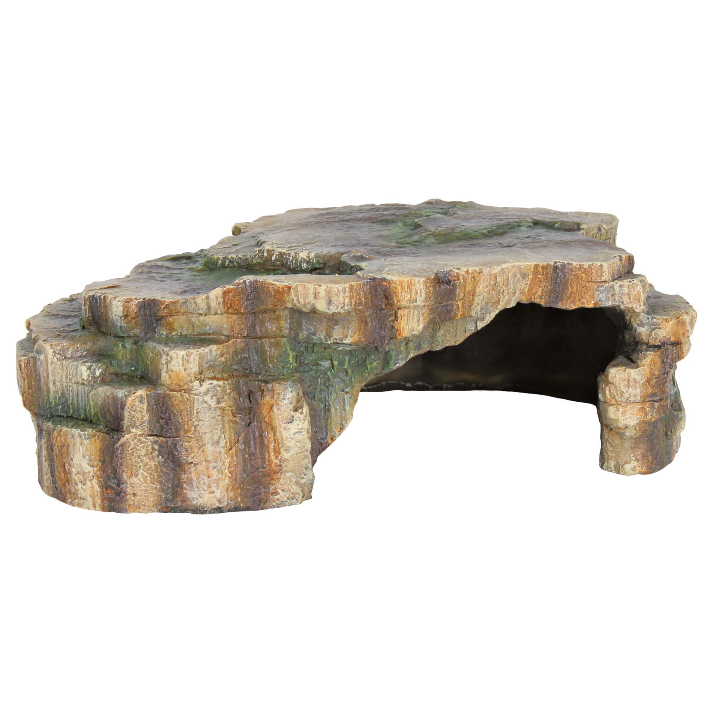 Grotte pour Reptiles