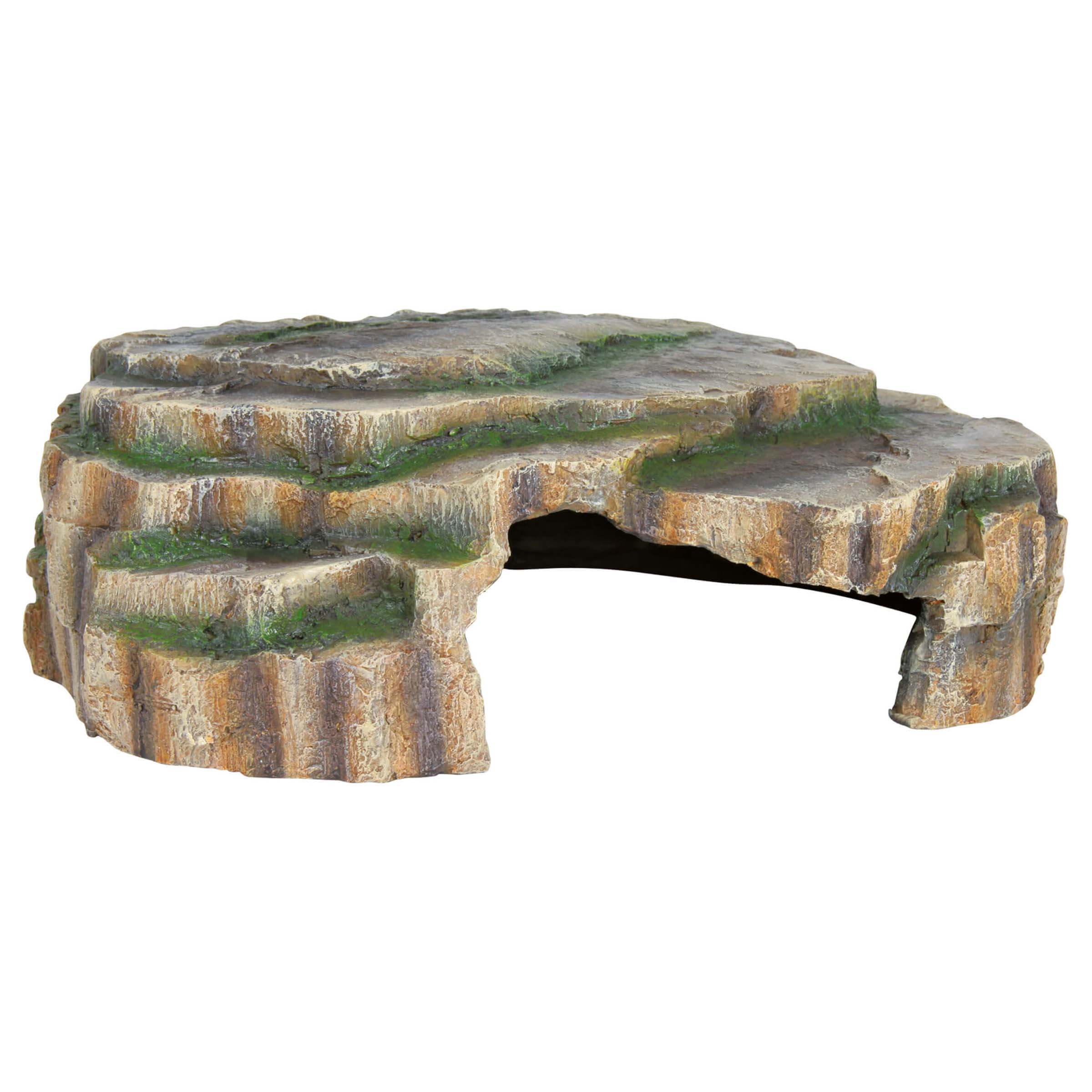 Grotte pour Reptiles