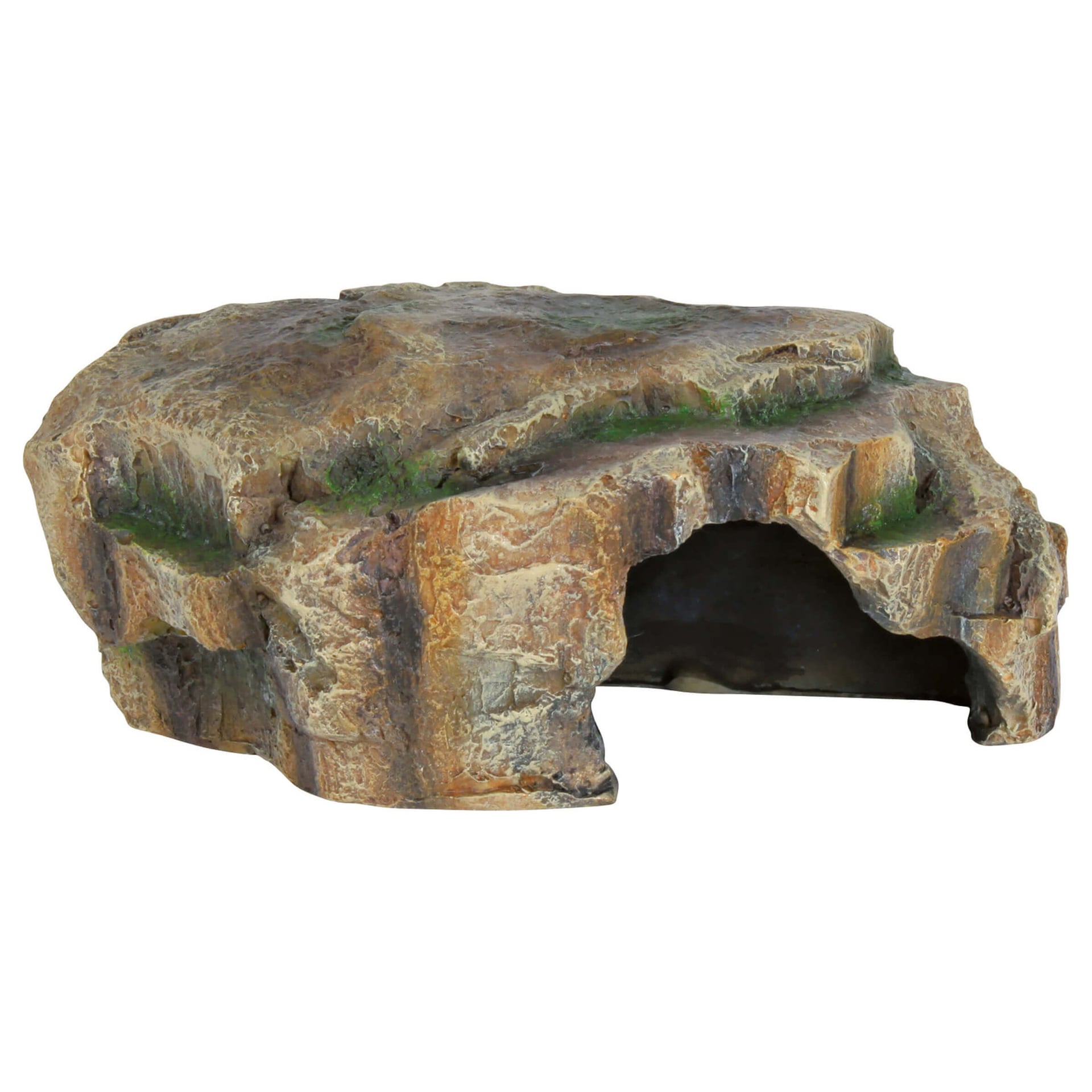 Grotte pour Reptiles