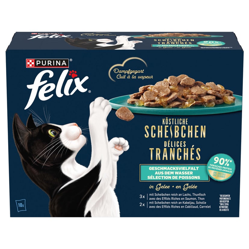 Köstliche Scheibchen Fisch