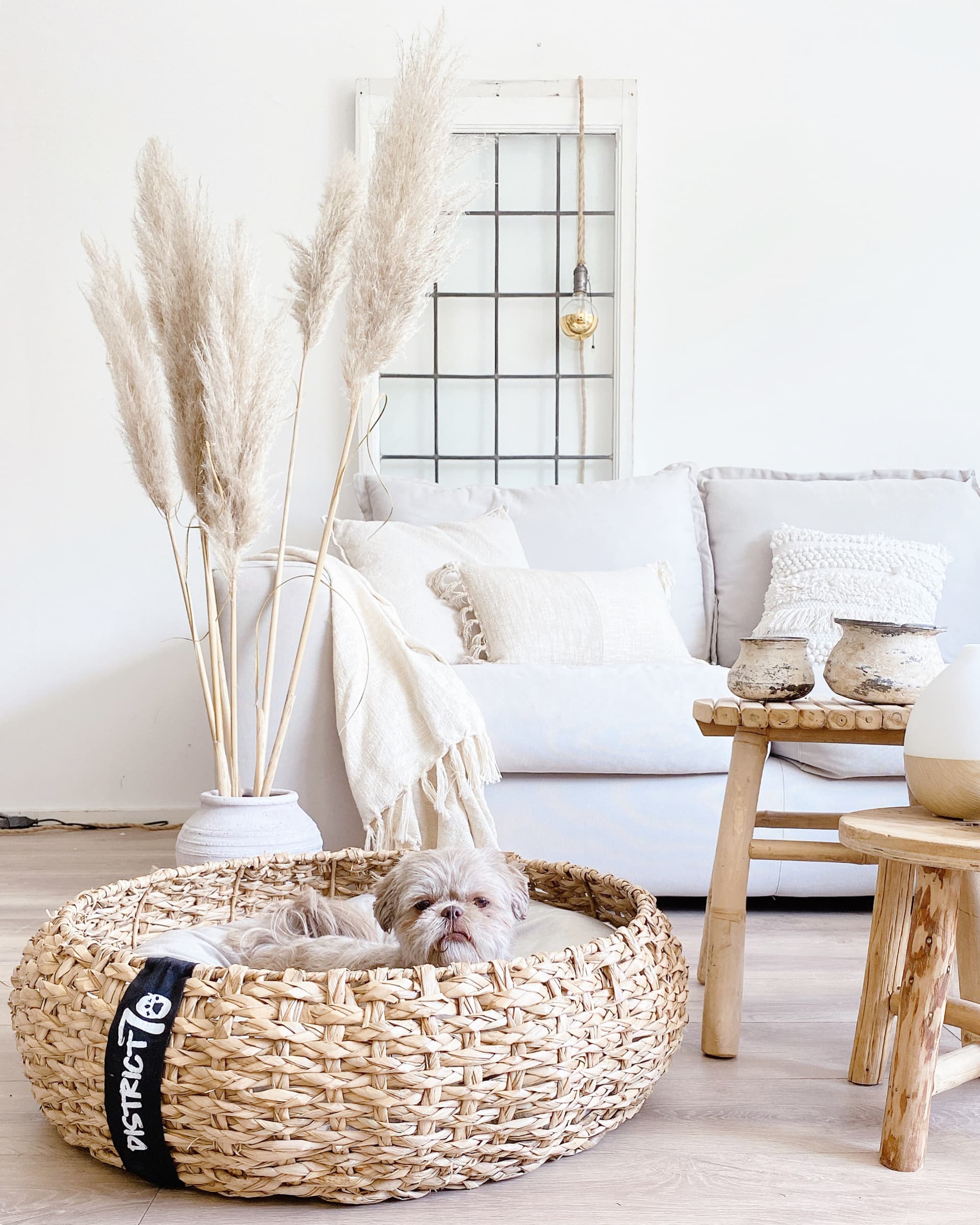 COCOON