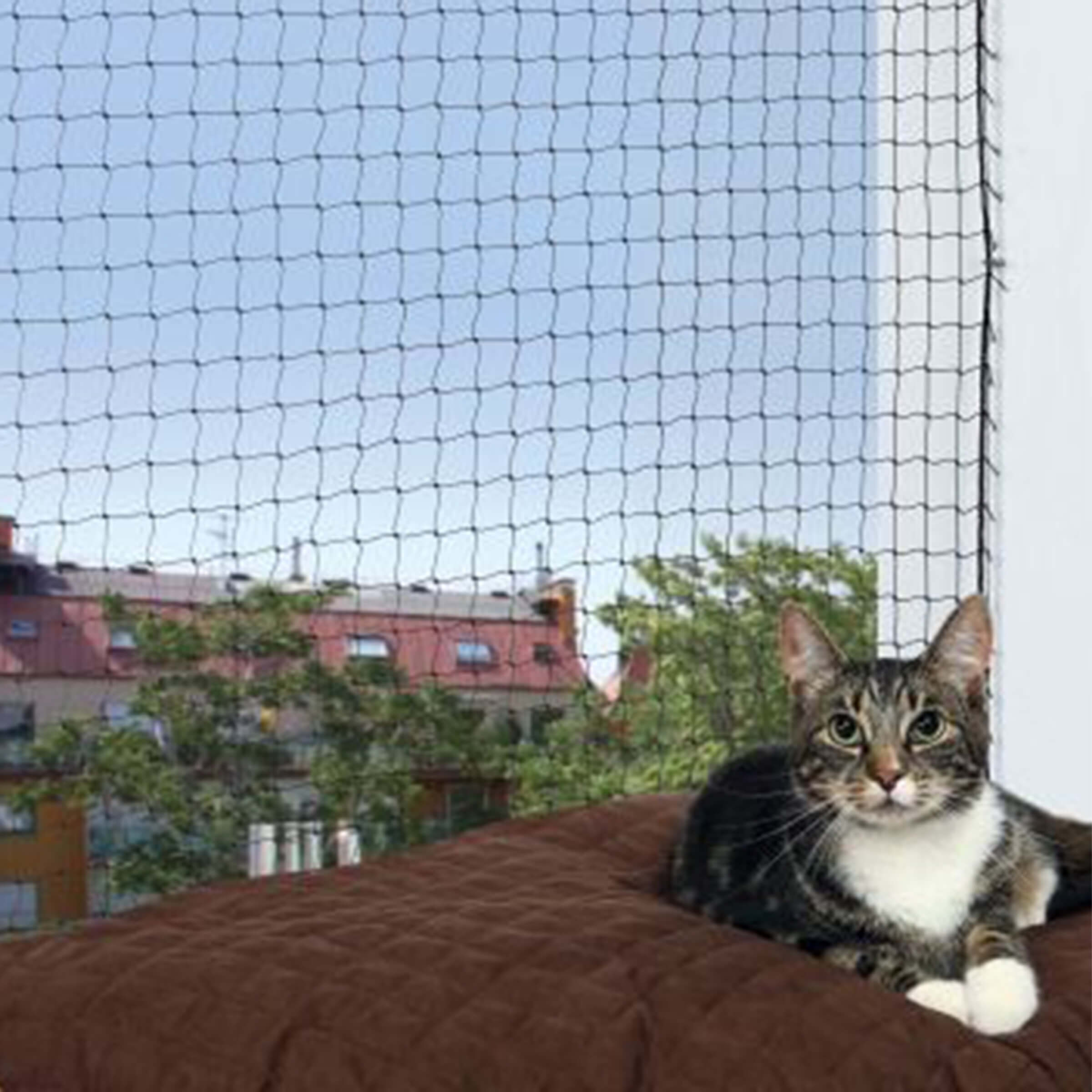 Filet pour chat