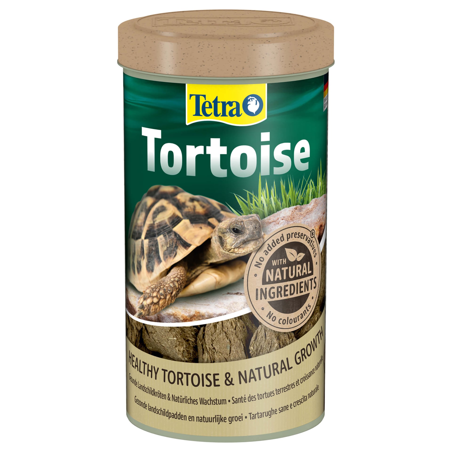 Fauna Tortoise, tortue de terre