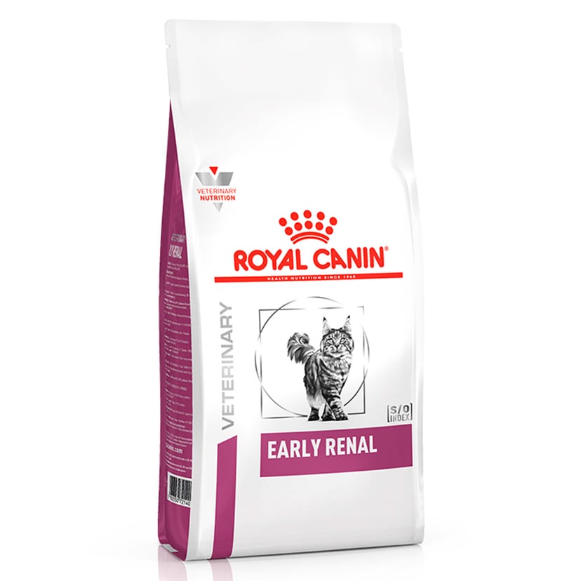 Veterinary Chats Early Renal
